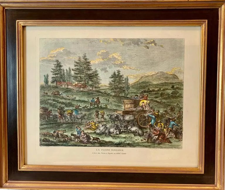 Hand Watercolored Print "La Pleine Vendange" Depicting the Grape Harvest-Framed: This vintage print "La Pleine Vendange" or The Full Harvest is hand watercolored and depicts the harvesting of grapes in France. The detail is very interesting. It is in a sturdy black and gold