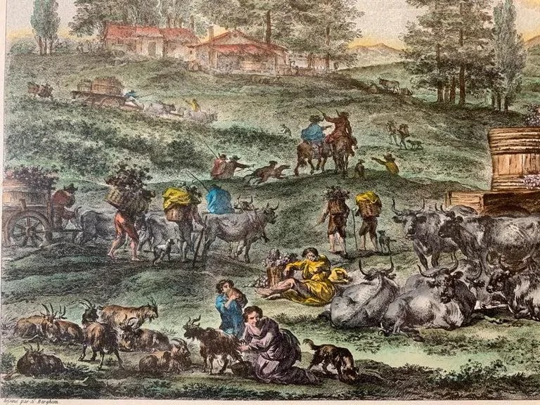 Hand Watercolored Print "La Pleine Vendange" Depicting the Grape Harvest-Framed - 3