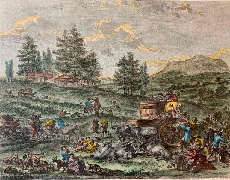 Hand Watercolored Print "La Pleine Vendange" Depicting the Grape Harvest-Framed - 4