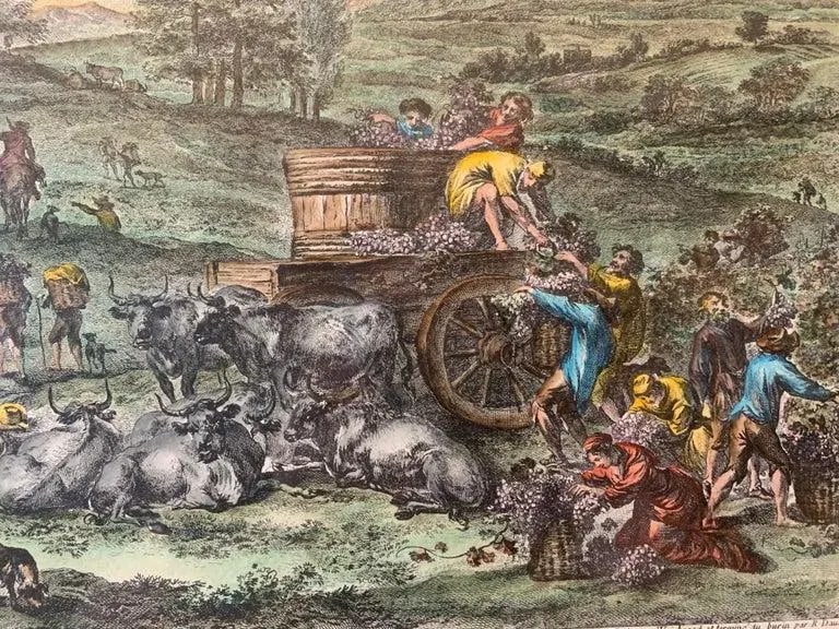 Hand Watercolored Print "La Pleine Vendange" Depicting the Grape Harvest-Framed - 5