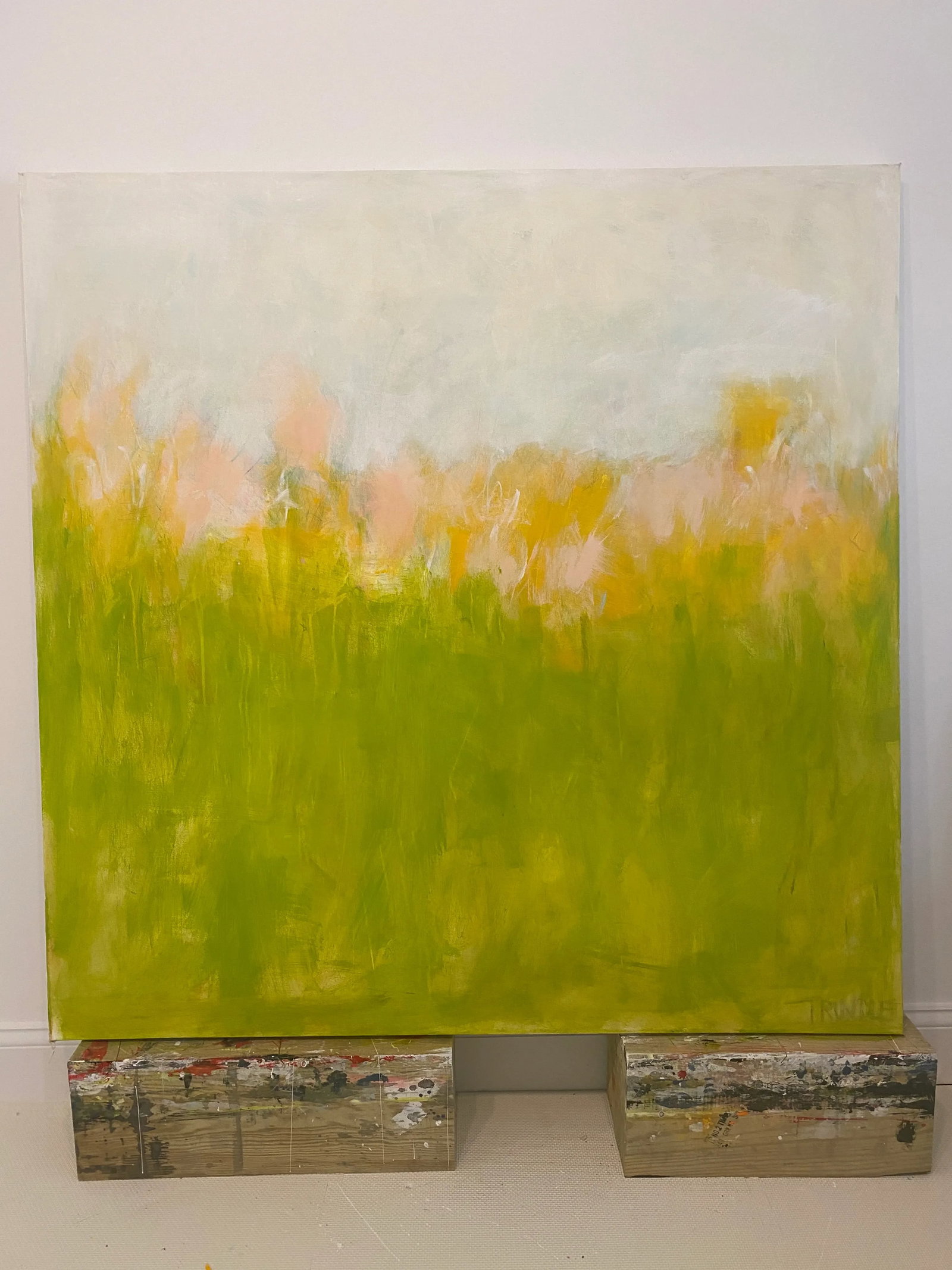 "Bucolic" Contemporary Abstract Landscape Mixed-Media Painting by Sarah Trundle - 3