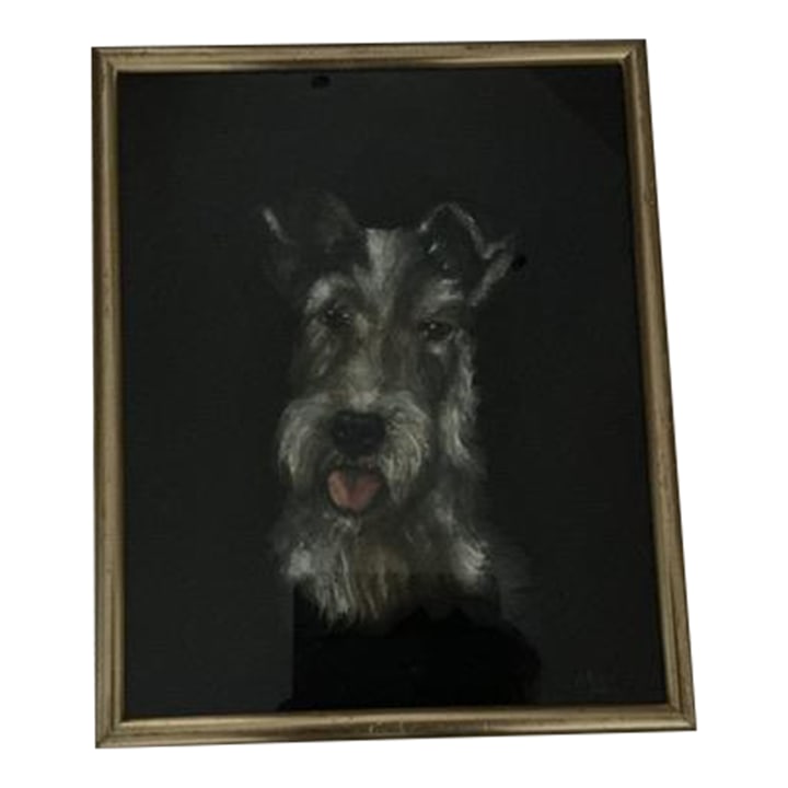 Framed Dog Painting From France: Original vintage painting of gray/black terrier dog found at a Provence antiques market. Framed in giltwood frame with glass, it features a dark background for a dramatic presentation of the sweet dog