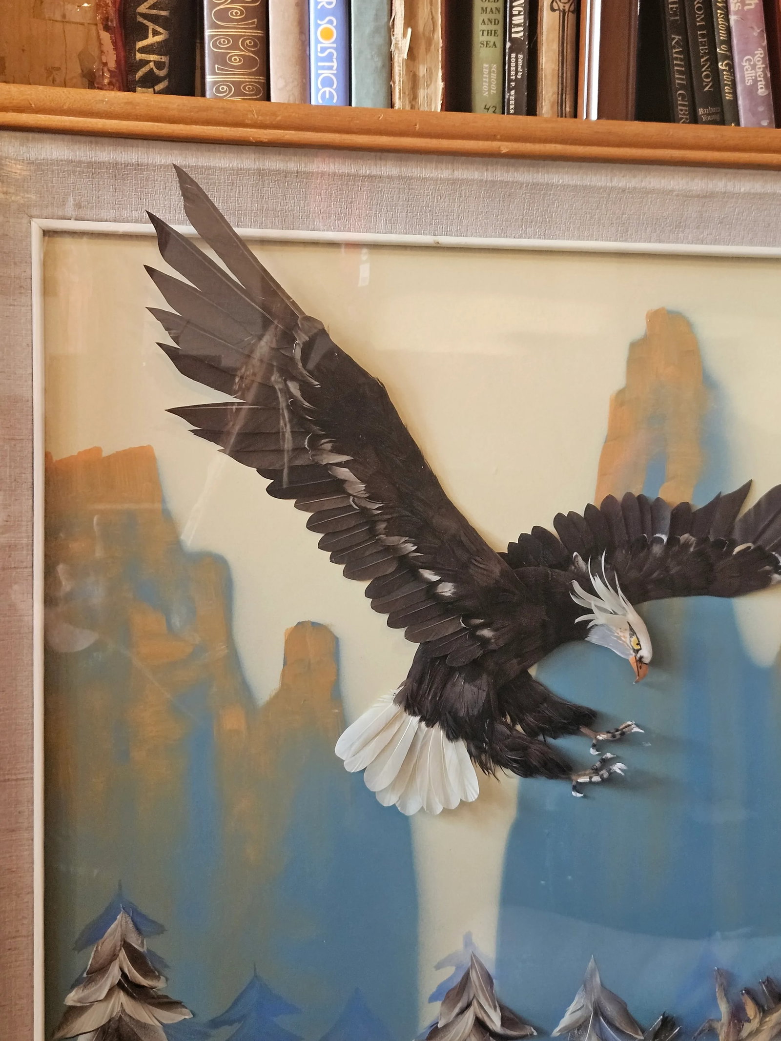 Multi Media 3d Bald Eagle in Flight Shadow Box Framed 37" X 33" - 13