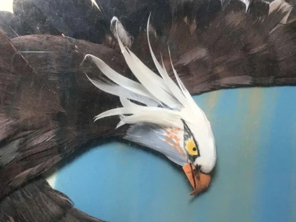 Multi Media 3d Bald Eagle in Flight Shadow Box Framed 37" X 33" - 7