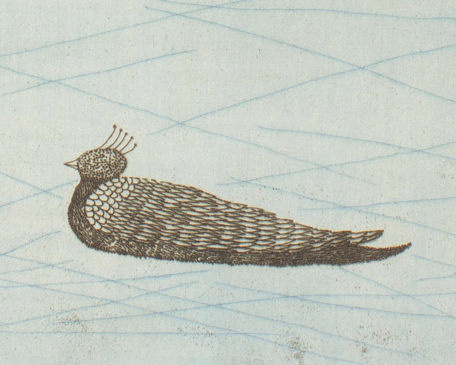 Etching of a Bird by Keiko Minami - 7