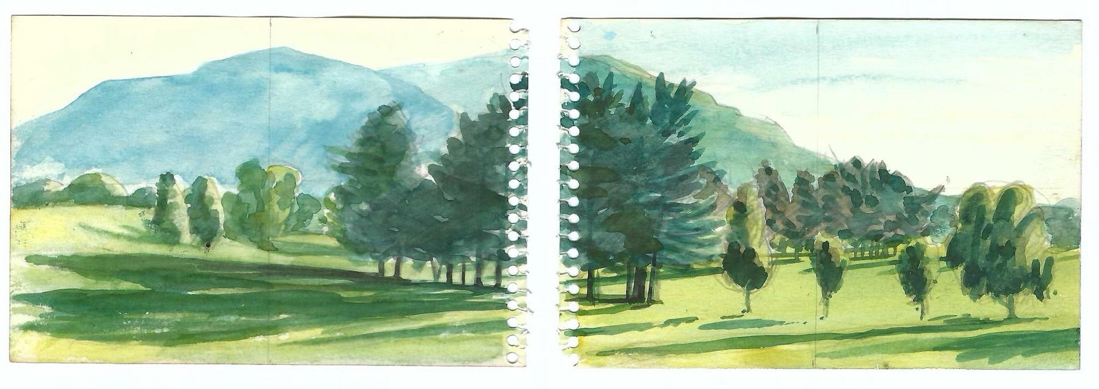 Robert Angeloch Diptych Landscape Painting - Set of Two - 5