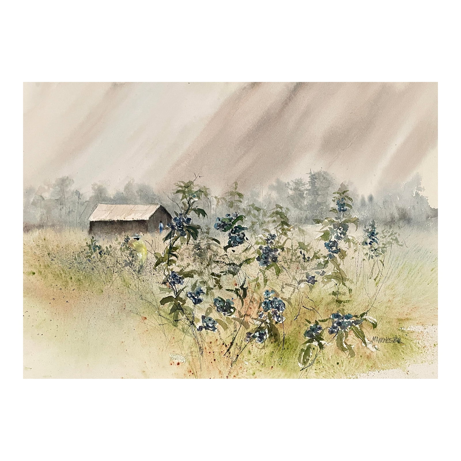 1970s Rural Landscape Watercolor Painting by Manchester: 1970s watercolor of wildflowers blooming in a field with a barn and figure in the background. Watercolor on heavy w/c paper. Signed by Manchester lower right. Combined shipping available, please