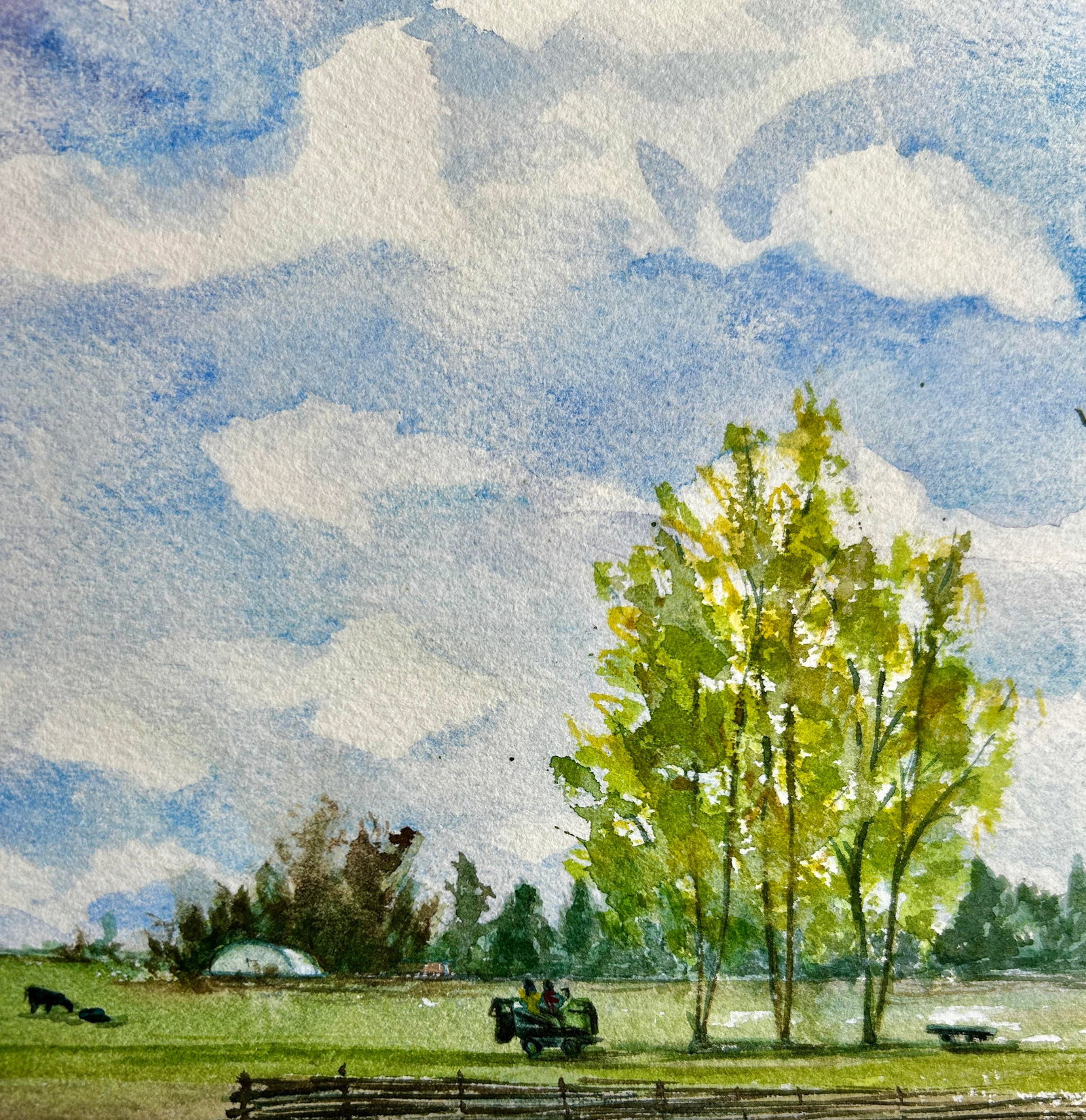 Framed Original Watercolor Painting Idaho Mowing Day - 4