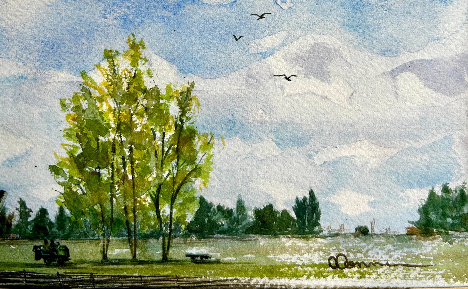Framed Original Watercolor Painting Idaho Mowing Day - 7