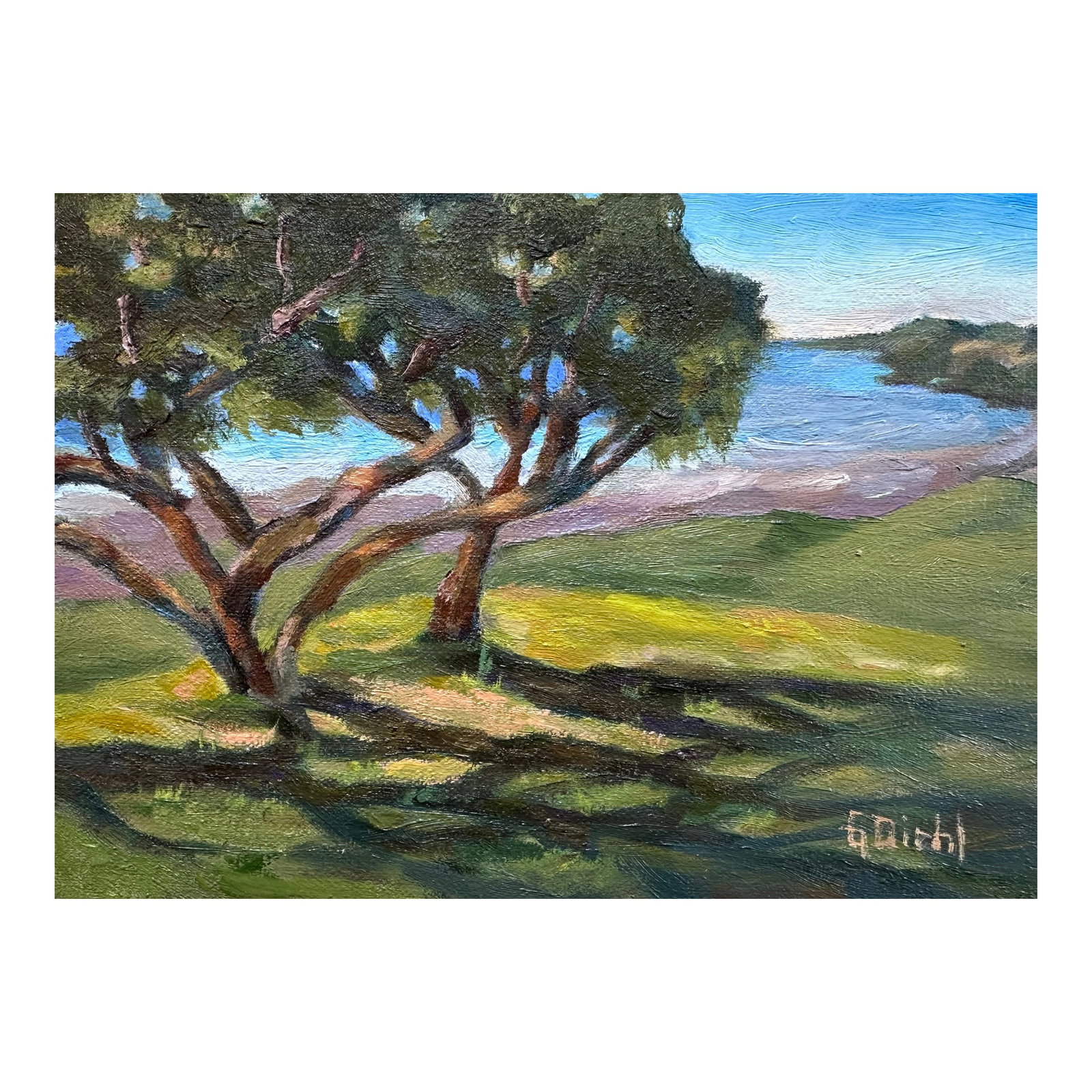 Original Fine Art Painting - Shadowed: This is a painting of a view of Dana Points Golf course with shadows of a tree. Professional materials and a coat of varnish has been applied. Condition: Imperfections: No Imperfections Origin: United