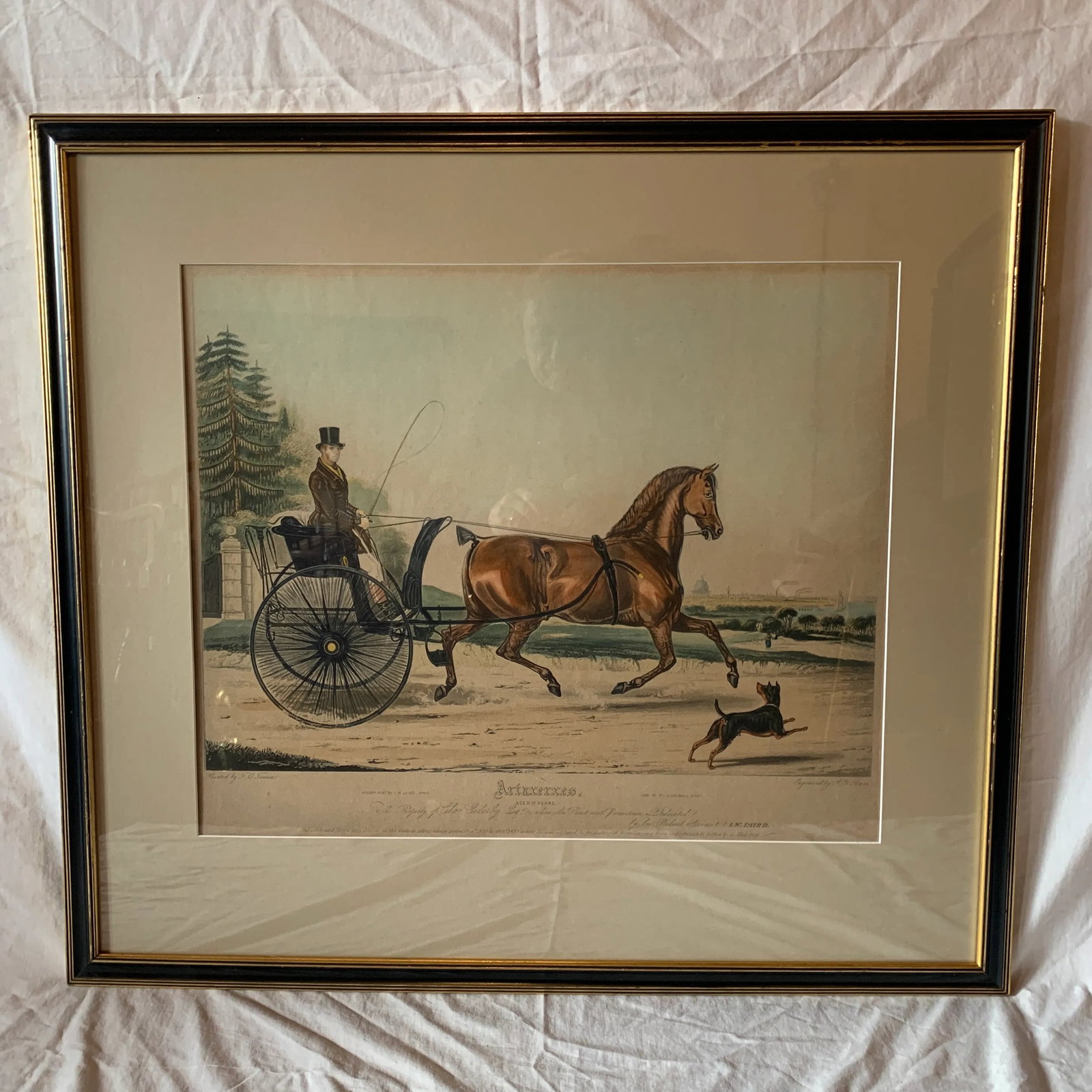 Early 19th Century Hand Coloured English Lithograph - 10