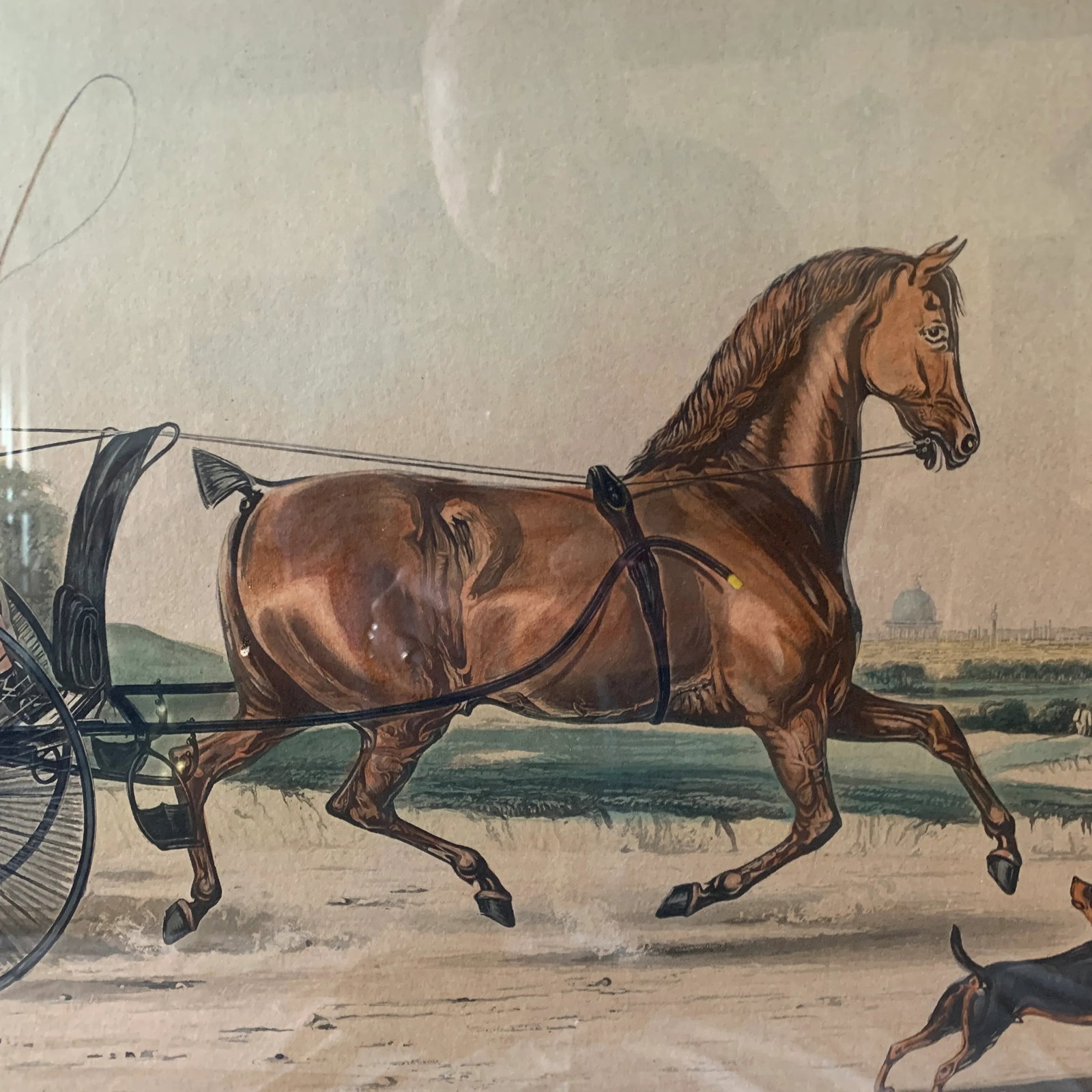 Early 19th Century Hand Coloured English Lithograph - 3