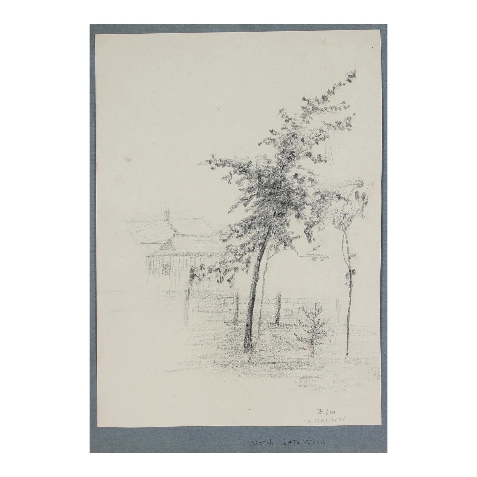 "Elm" 20th Century Graphite: Entitled Elm, this early 20th century graphite on paper study is by the artist Ruth Brown Kroscher (1893-1986) who was a Chicago artist, teacher, and botanist. She studied at Northwestern University