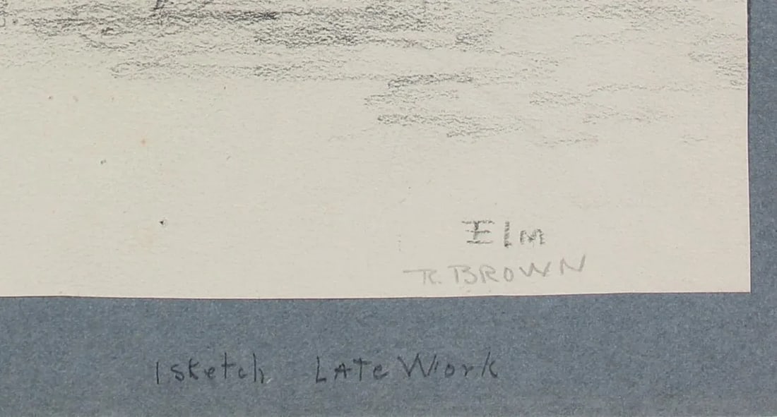 "Elm" 20th Century Graphite - 2