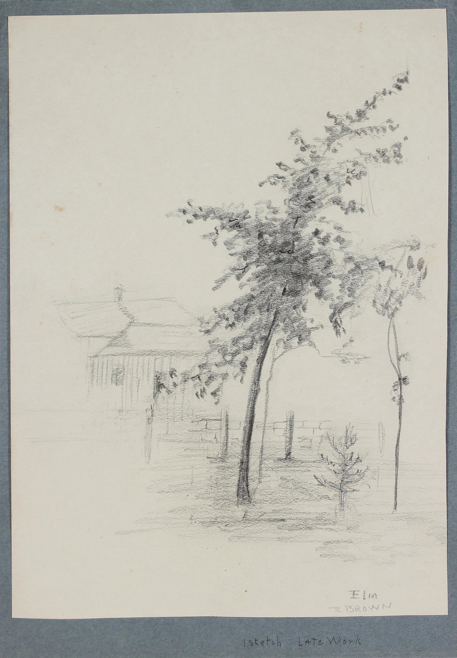 "Elm" 20th Century Graphite - 3