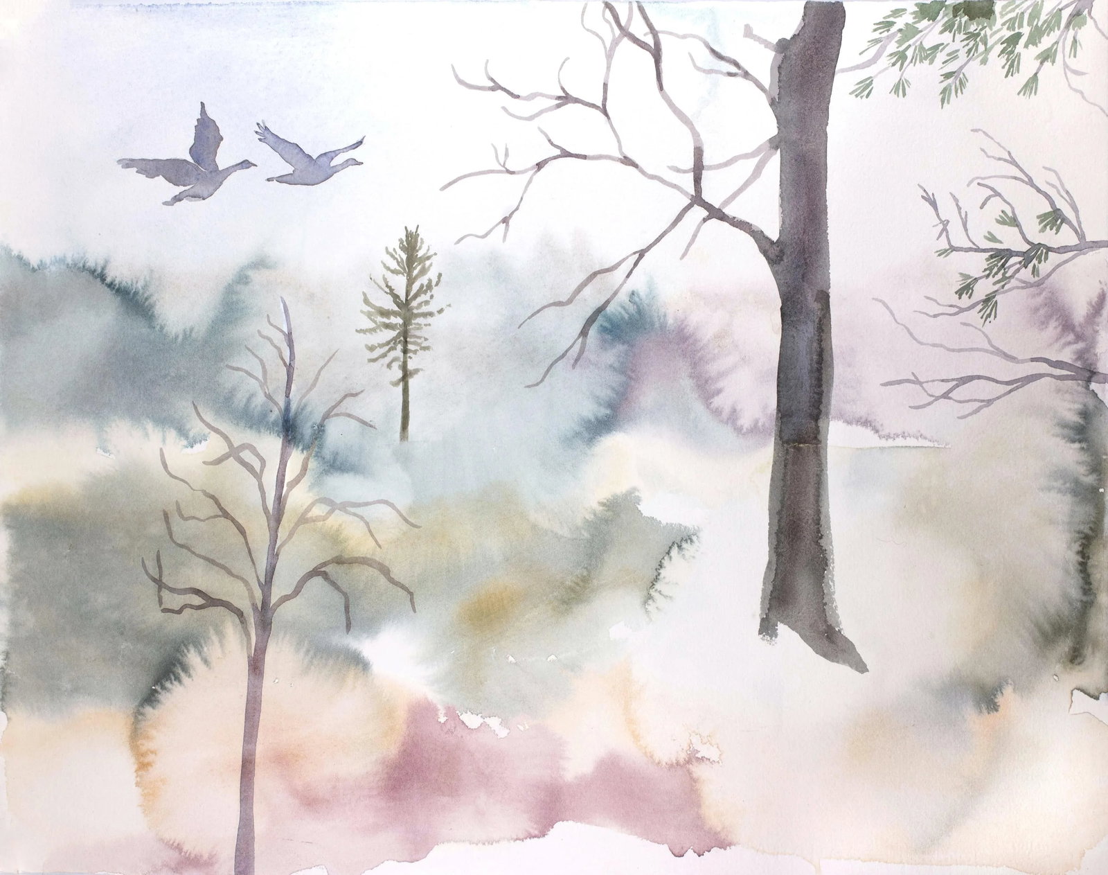 "December No. 3" Contemporary Original Botanical Watercolor Painting by Elizabeth Becker: Original watercolor painting on 140 lb cold press paper Artist: Elizabeth Becker Year: 2022 Image and Paper Size: 16" x 20" Signed on front Condition: Imperfections: No Imperfections Materials &
