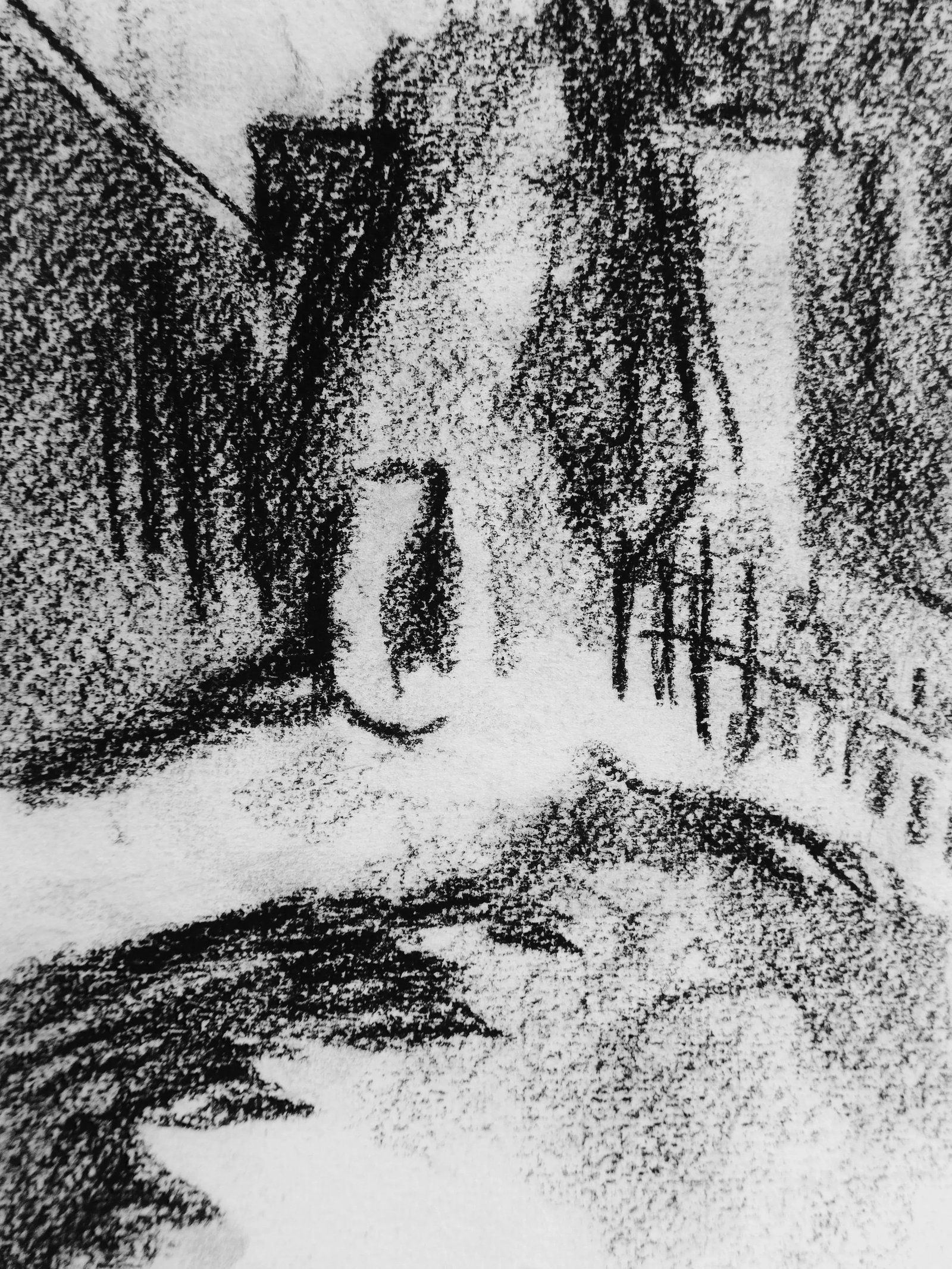 "Garden Landscape" Contemporary Abstract Charcoal Drawing by Martha Holden - 2