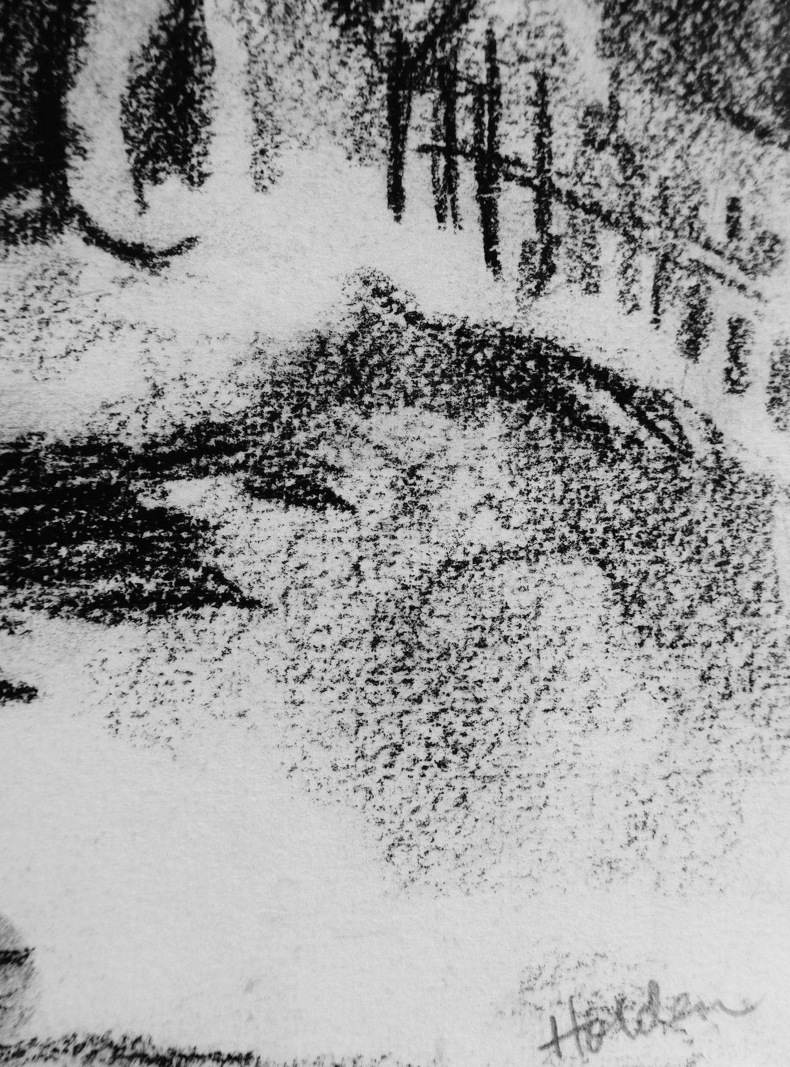 "Garden Landscape" Contemporary Abstract Charcoal Drawing by Martha Holden - 3