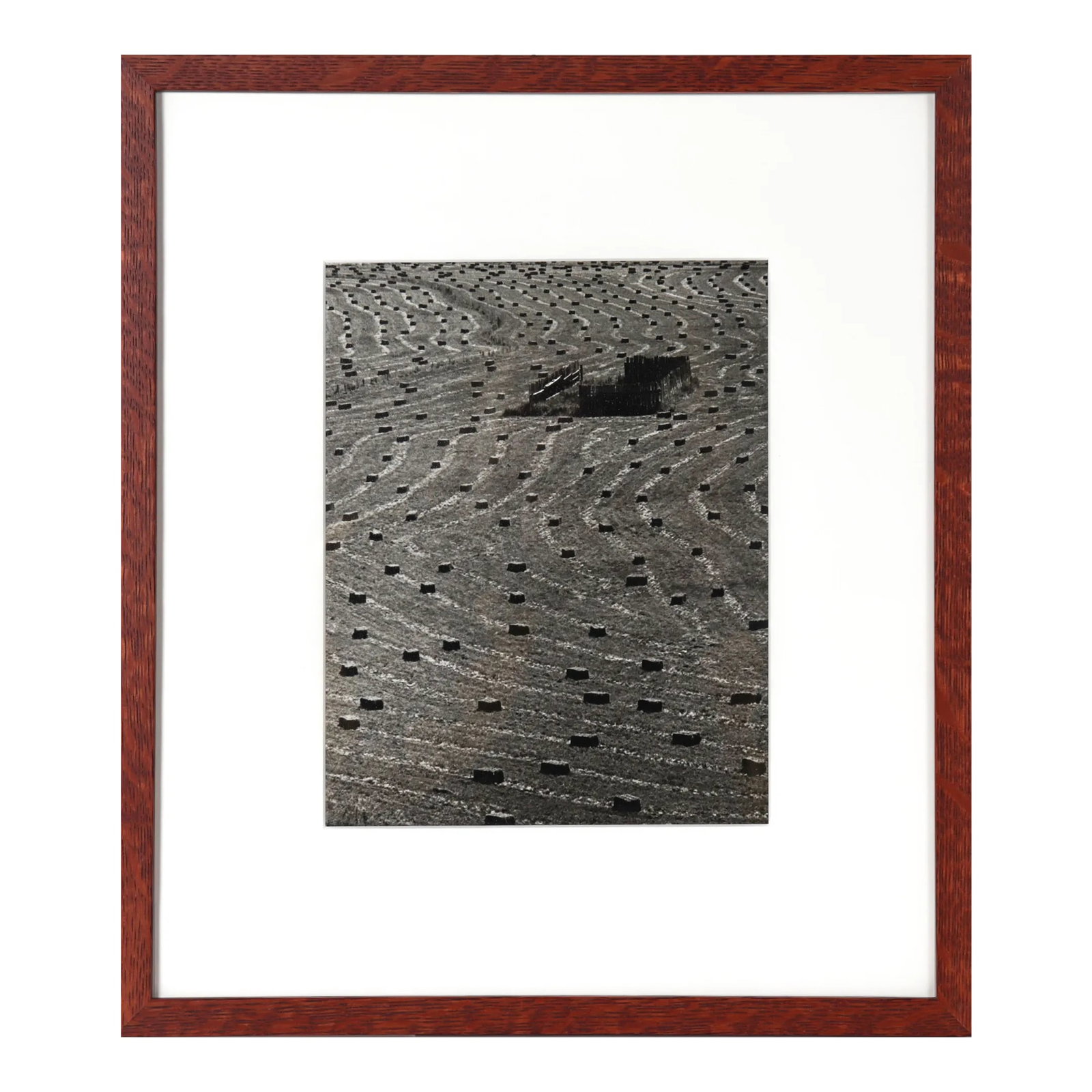 Abstract Landscape View 1971 Photograph: This 1971 black and white photograph on paper is by 1940-70s California photographer, Floyd H. Sherry (1905-1992). His work is in the permanent collection of the Seattle Museum of Art and he was