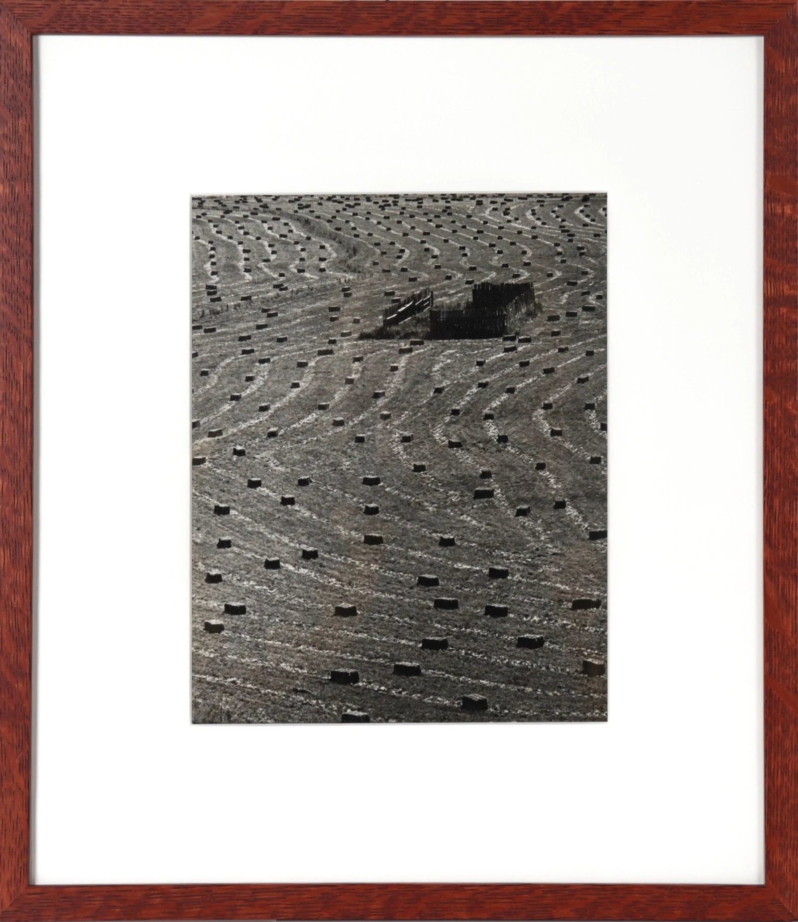Abstract Landscape View 1971 Photograph - 3