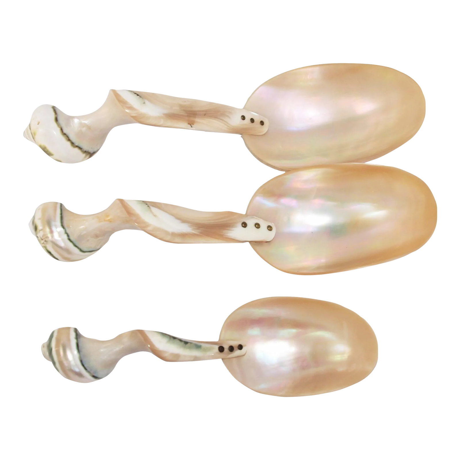 Set of 3 Large Turbo Marmoratus Shell Serving Spoons: Three large Turbo Marmoratus shell serving spoons. Twisted carved handle attached to bowl by brass plate. Beautiful reflective polished glow. Great condition, no damage, stains; please see photos. #1