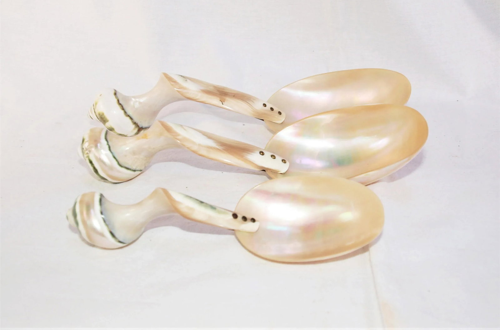 Set of 3 Large Turbo Marmoratus Shell Serving Spoons - 2