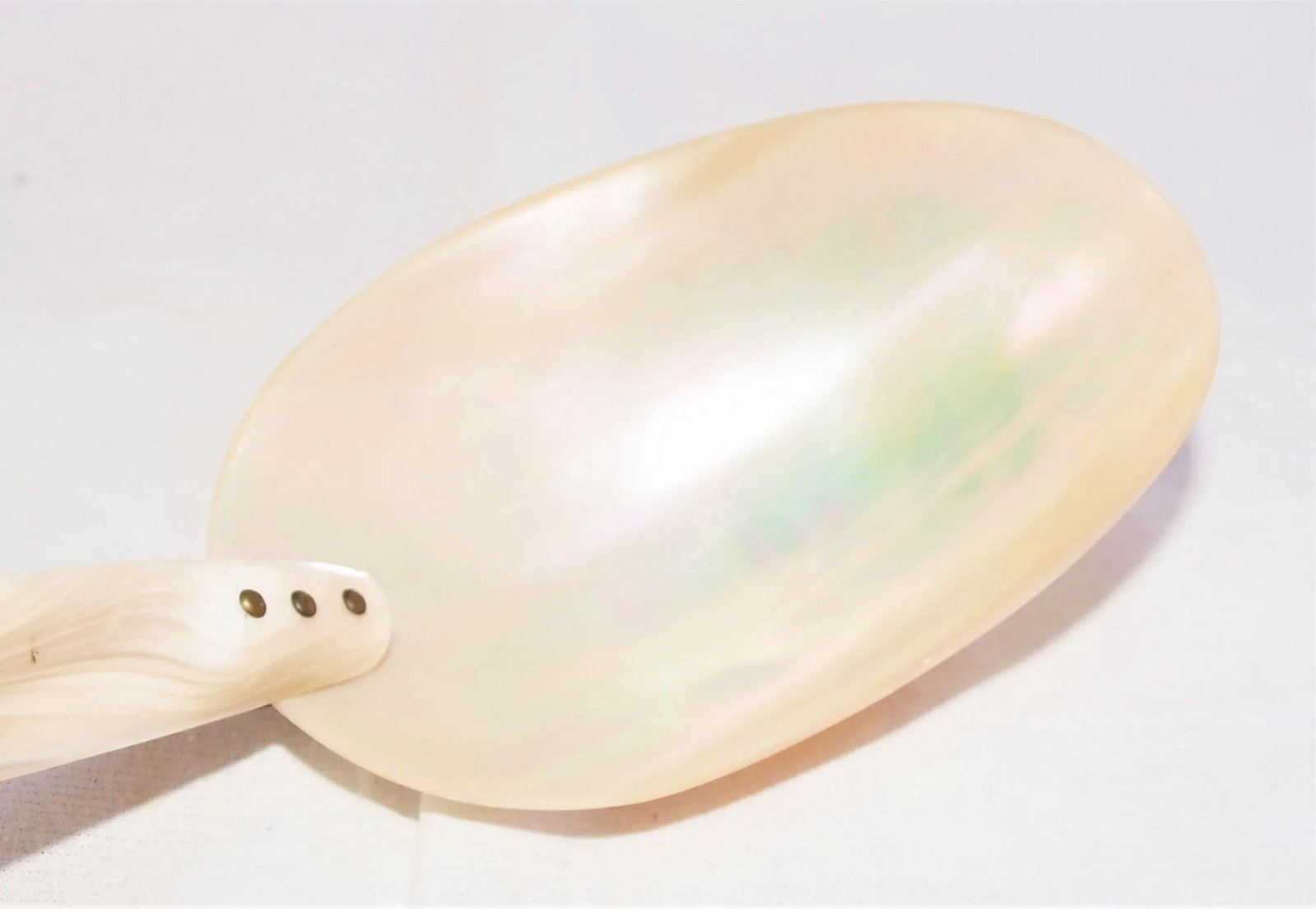 Set of 3 Large Turbo Marmoratus Shell Serving Spoons - 4