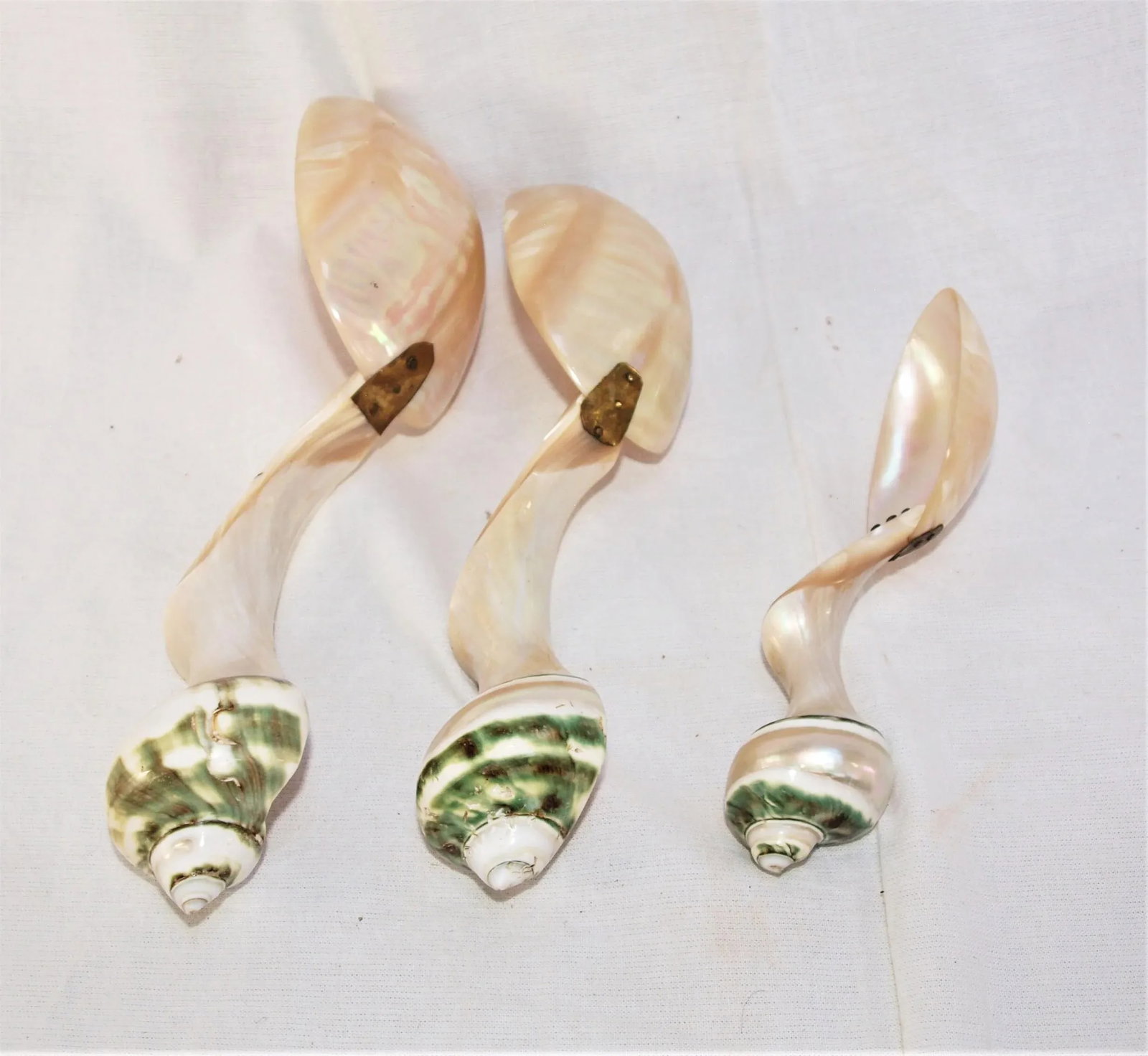 Set of 3 Large Turbo Marmoratus Shell Serving Spoons - 6
