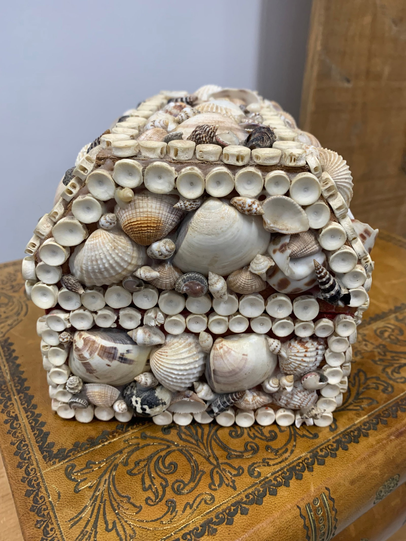 Vintage Handmade Sea Shell Encrusted Collectors Box - 3