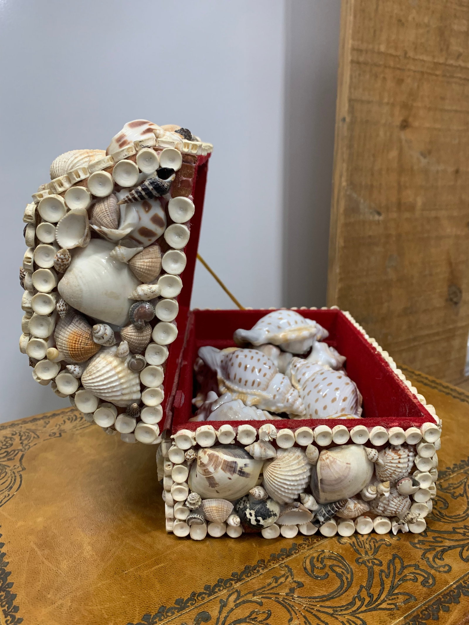 Vintage Handmade Sea Shell Encrusted Collectors Box - 4