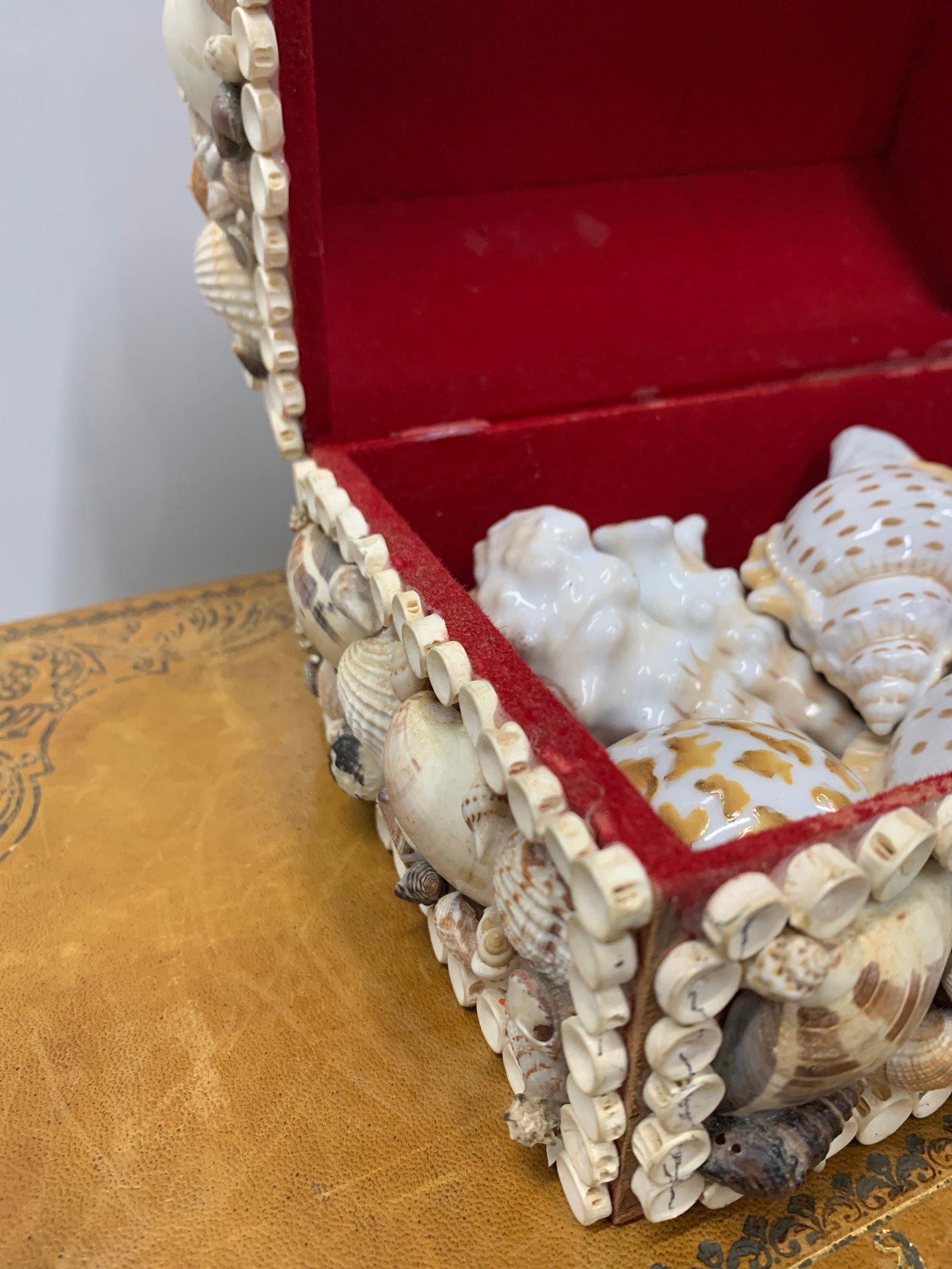 Vintage Handmade Sea Shell Encrusted Collectors Box - 5