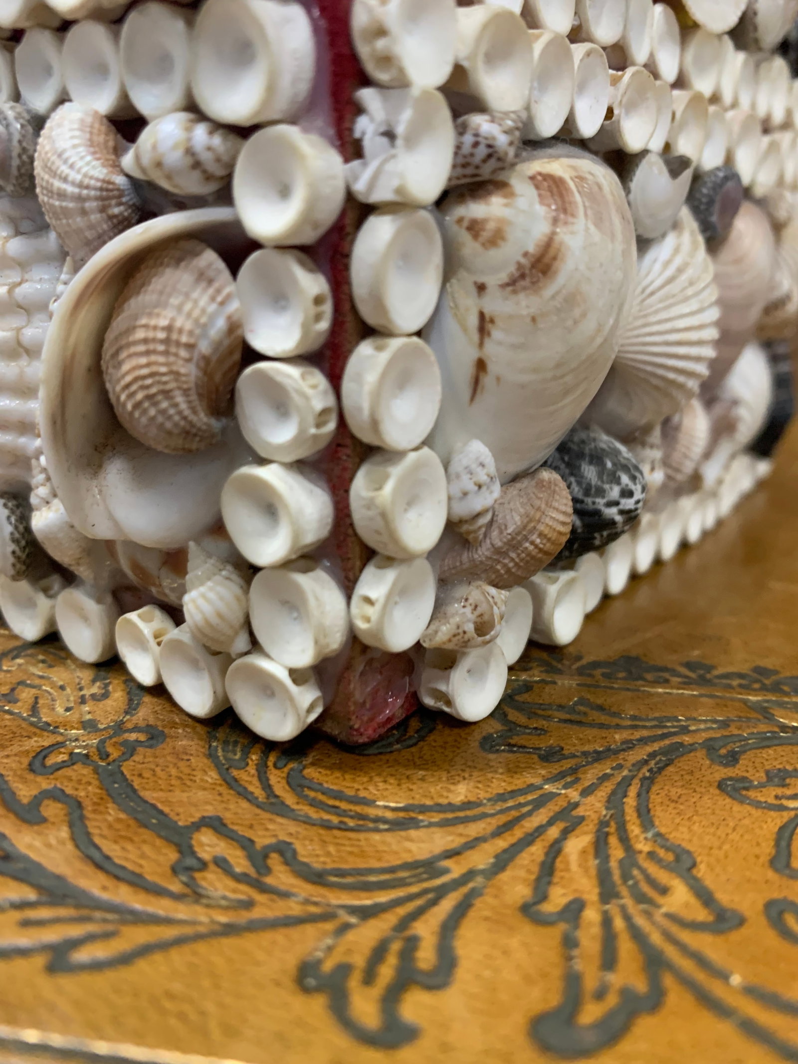 Vintage Handmade Sea Shell Encrusted Collectors Box - 7