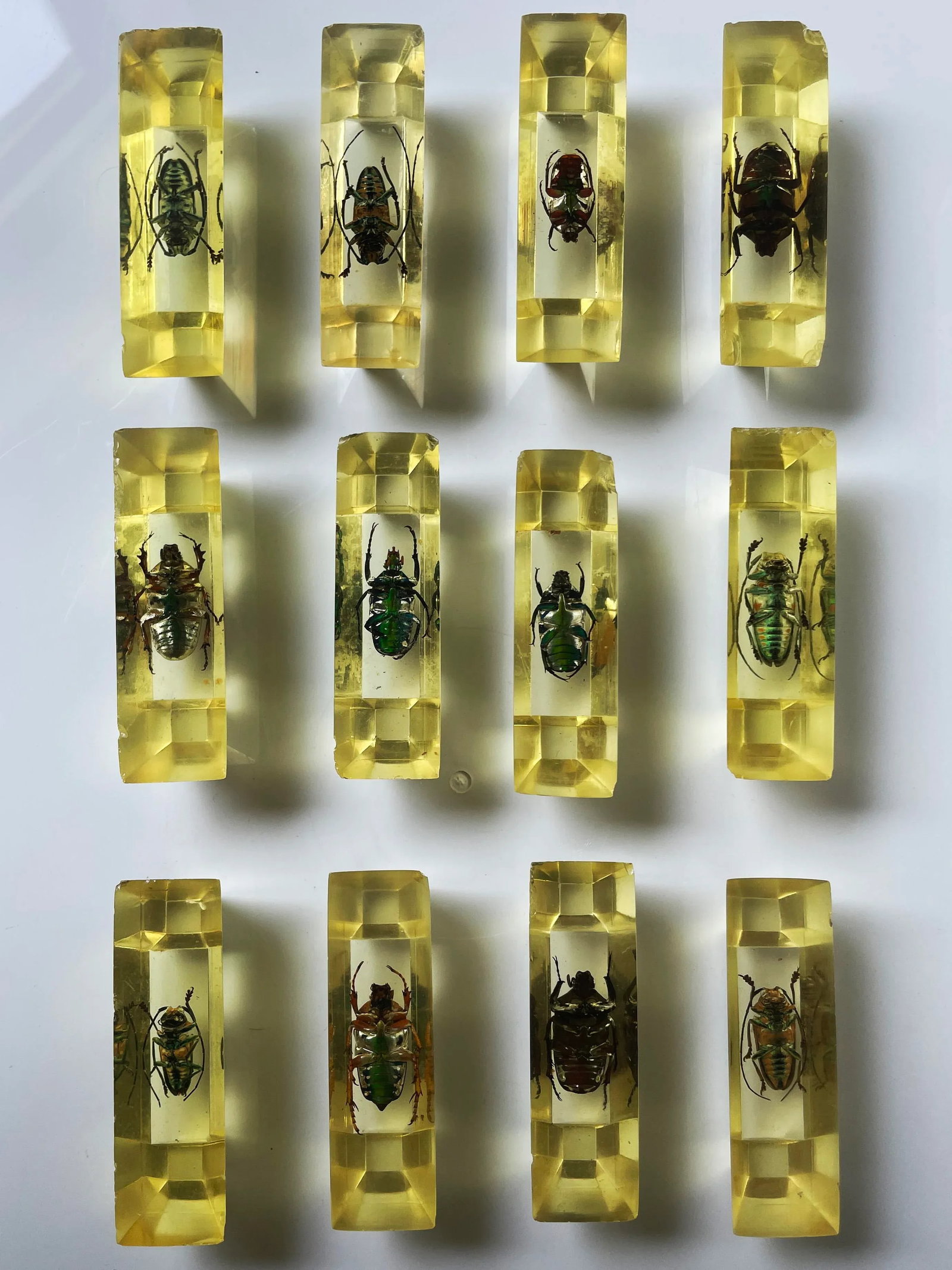 Vintage French Scarab Beetle Knife Rests in Lucite - Set of 12 - 10