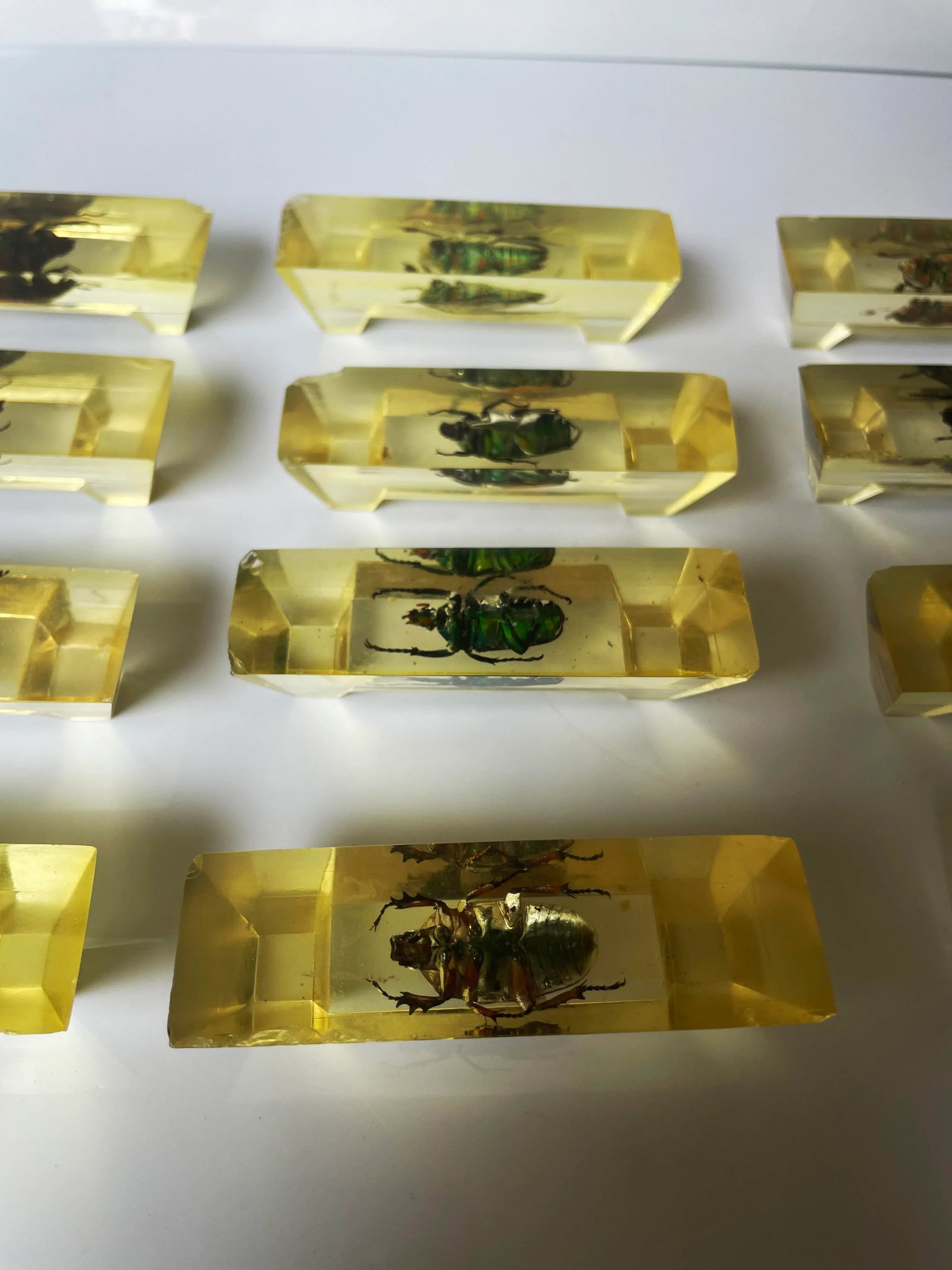 Vintage French Scarab Beetle Knife Rests in Lucite - Set of 12 - 11