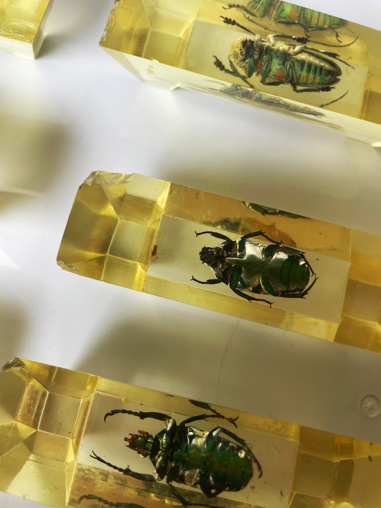 Vintage French Scarab Beetle Knife Rests in Lucite - Set of 12 - 12
