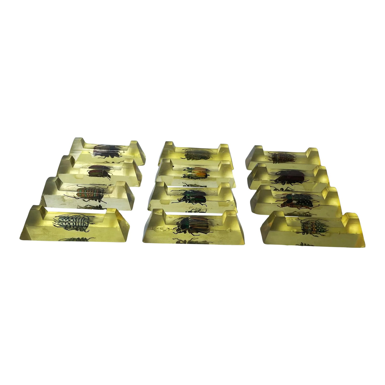 Vintage French Scarab Beetle Knife Rests in Lucite - Set of 12: Alluring Art Deco Scarab beetle knife rests in Lucite. Sourced in Menton, France. Condition: Alterations: Original Condition Unaltered Imperfections: Some Imperfections Condition Notes: A few chips to