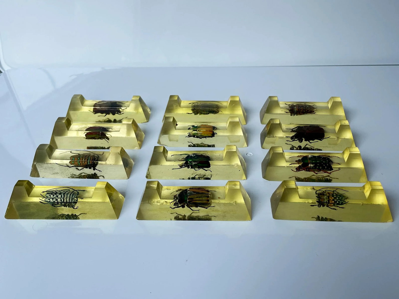Vintage French Scarab Beetle Knife Rests in Lucite - Set of 12 - 2