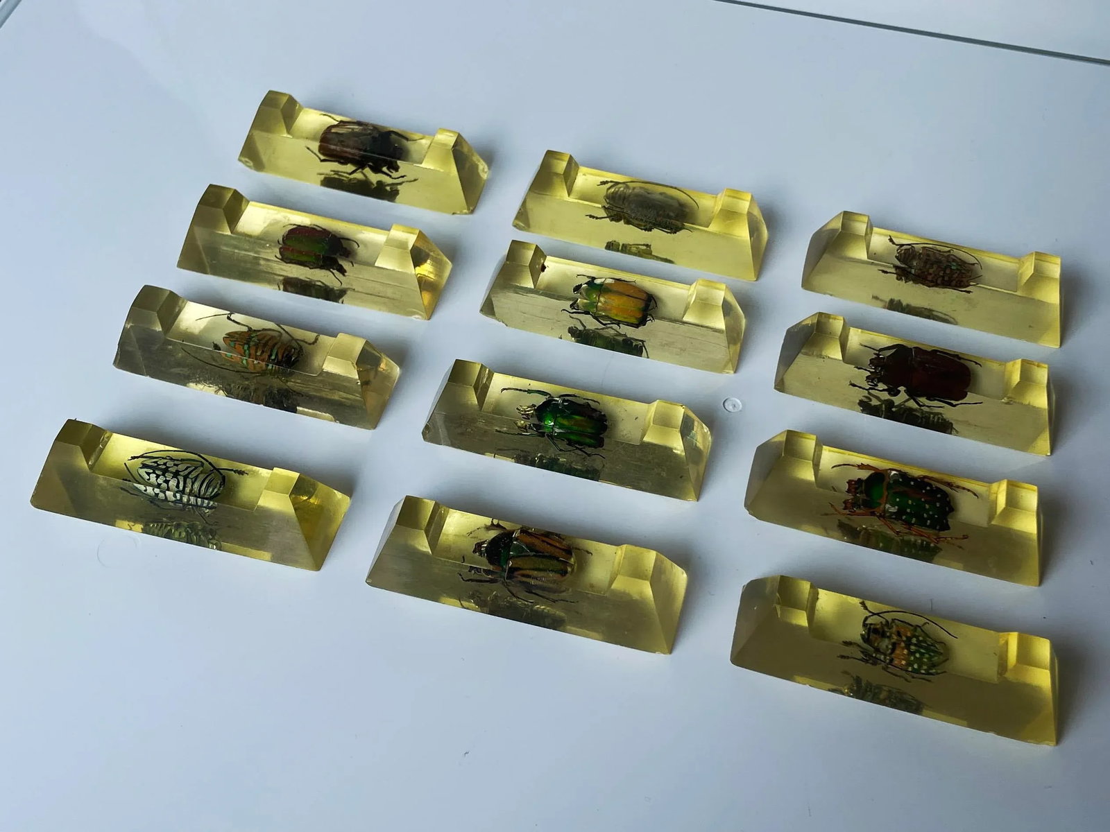 Vintage French Scarab Beetle Knife Rests in Lucite - Set of 12 - 3