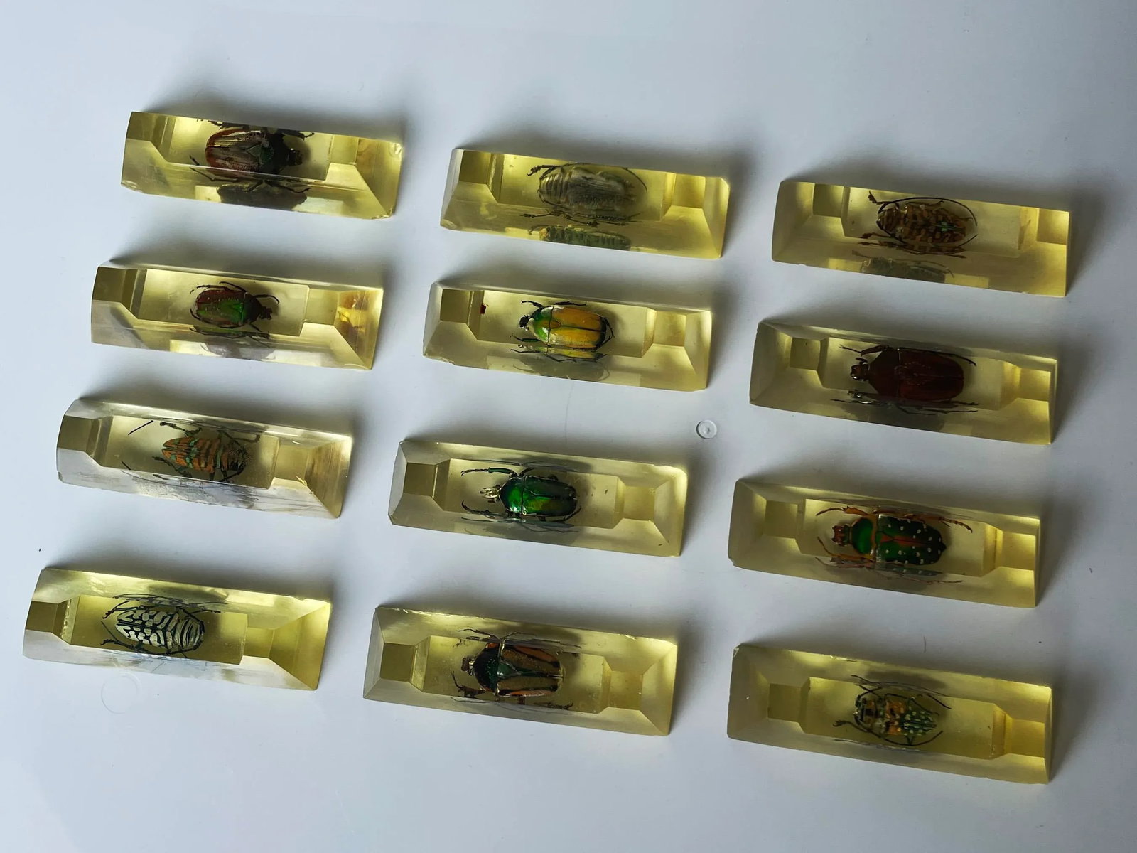 Vintage French Scarab Beetle Knife Rests in Lucite - Set of 12 - 4