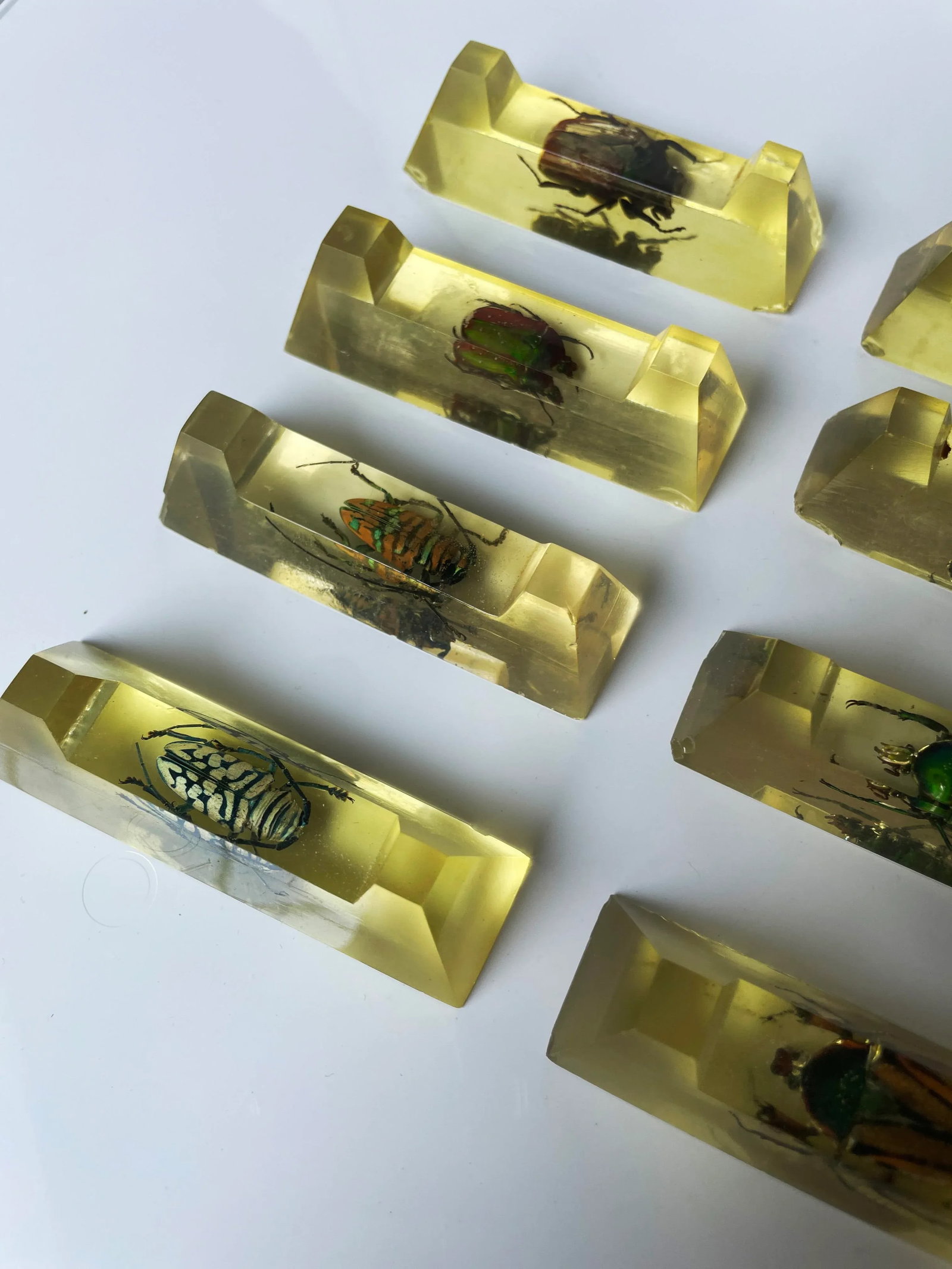 Vintage French Scarab Beetle Knife Rests in Lucite - Set of 12 - 5