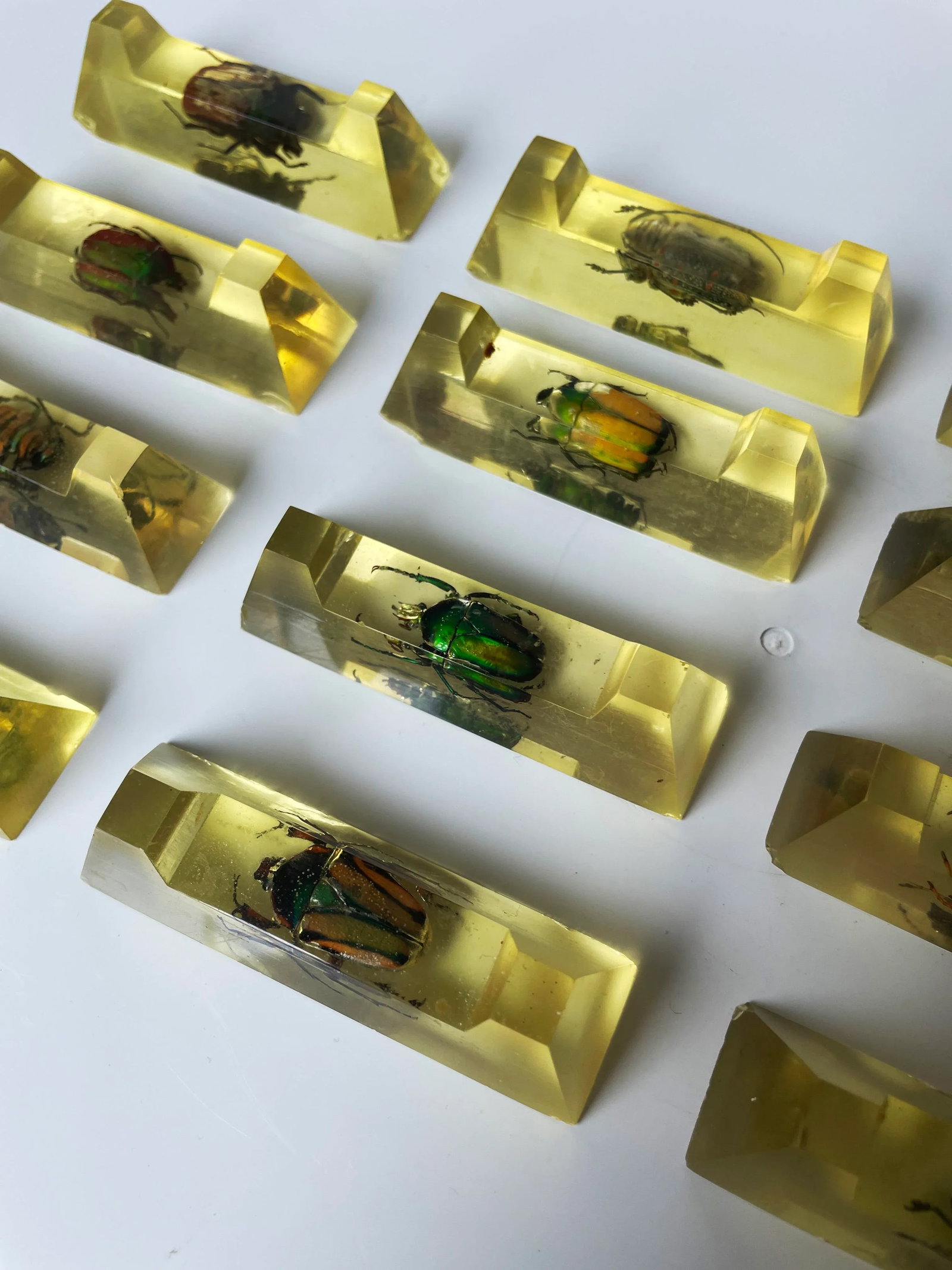 Vintage French Scarab Beetle Knife Rests in Lucite - Set of 12 - 6