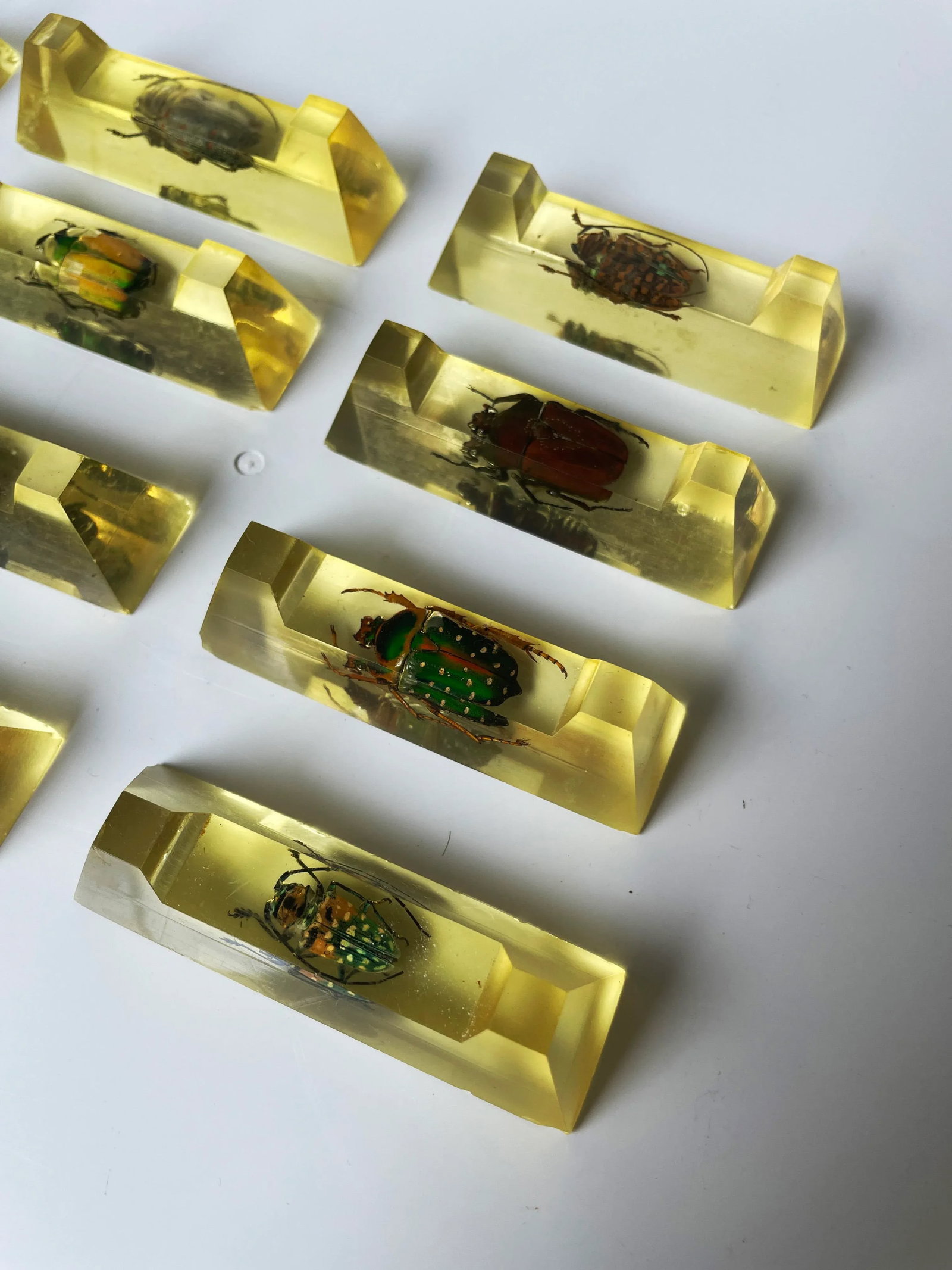 Vintage French Scarab Beetle Knife Rests in Lucite - Set of 12 - 7