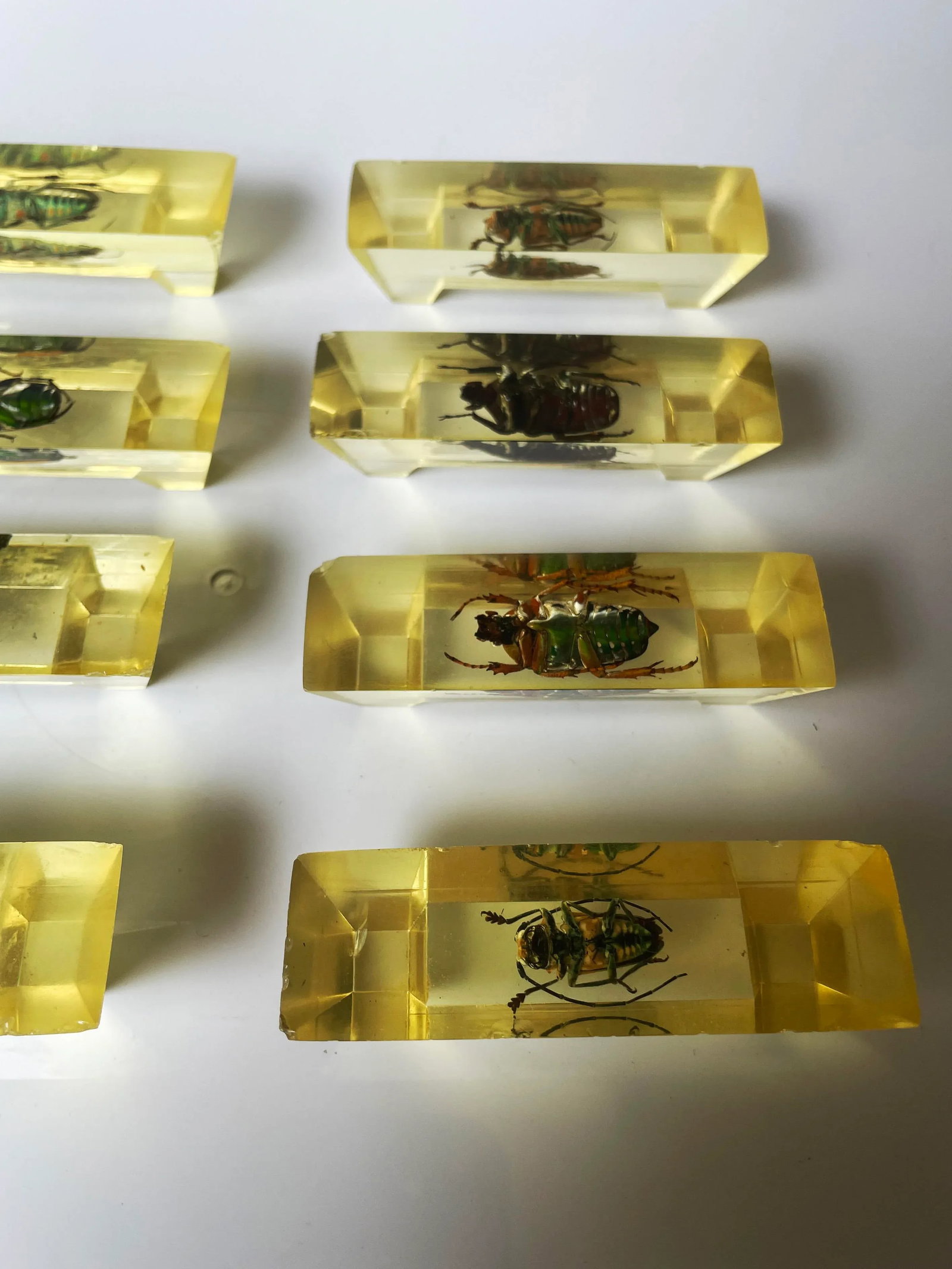 Vintage French Scarab Beetle Knife Rests in Lucite - Set of 12 - 8