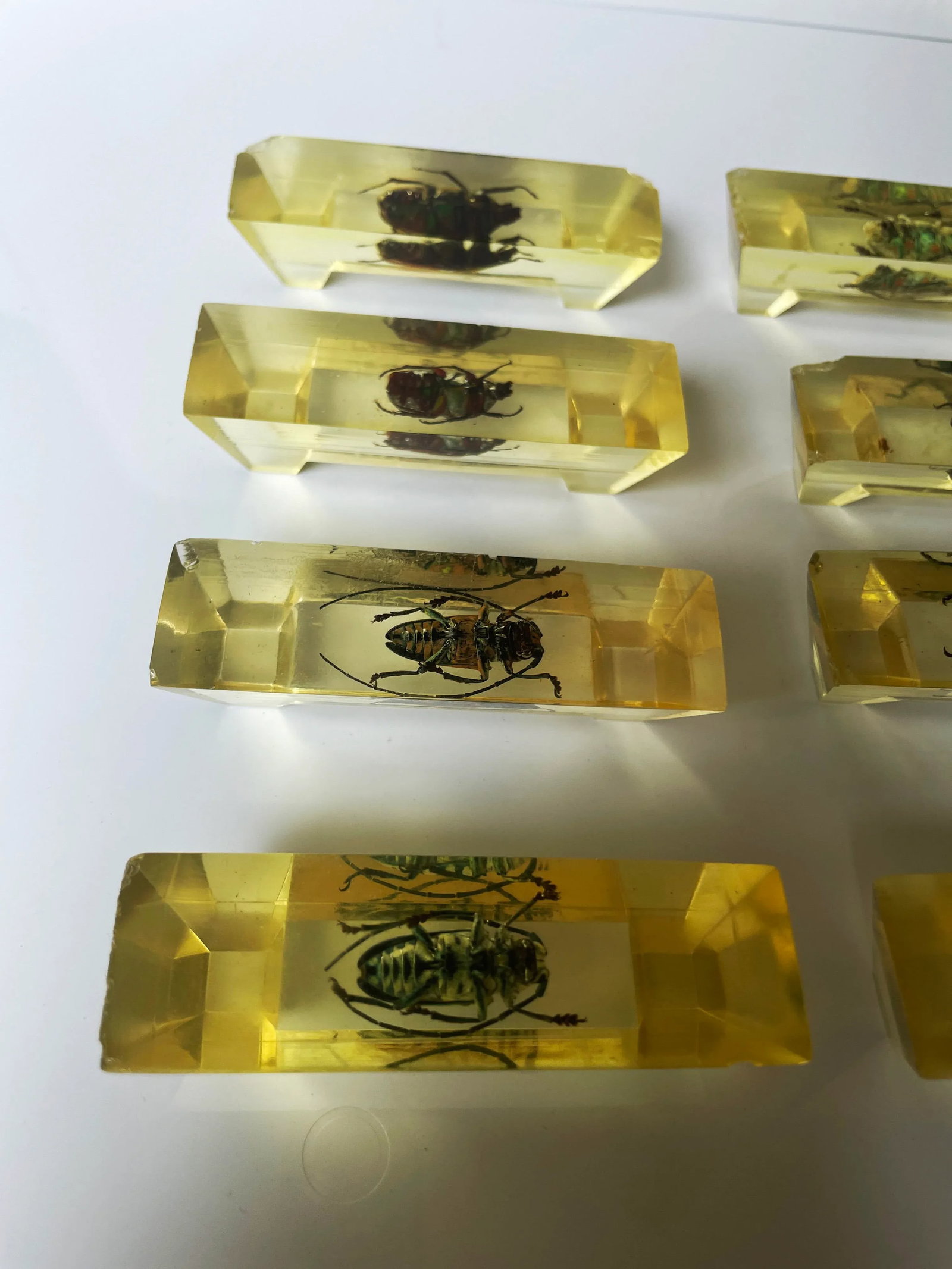 Vintage French Scarab Beetle Knife Rests in Lucite - Set of 12 - 9