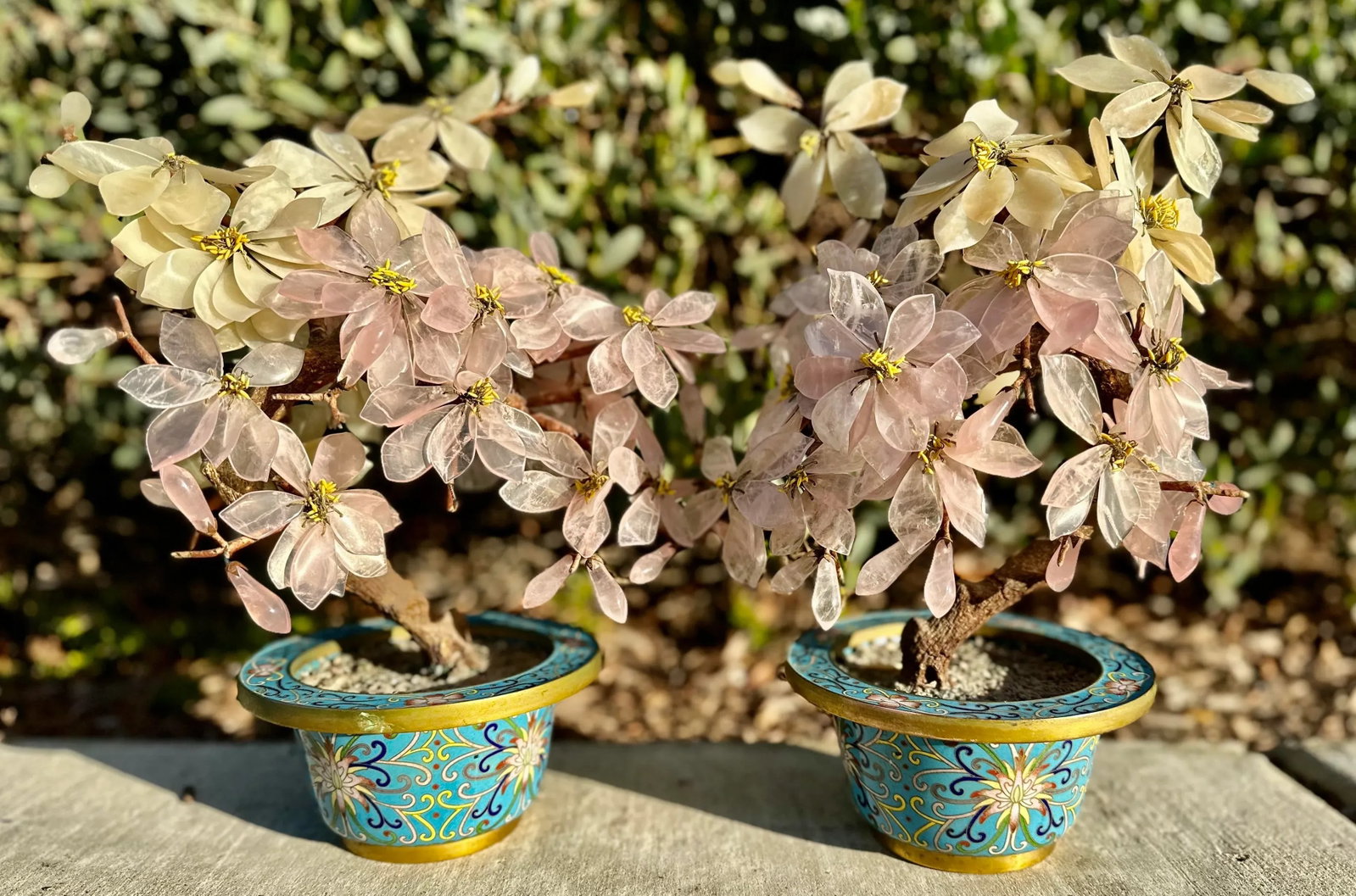 Pair of Antique Chinese Jade Stone Bonsai Trees Magnolia Blossoms Enamel Gilt Bronze Cloisonne Plant - 8