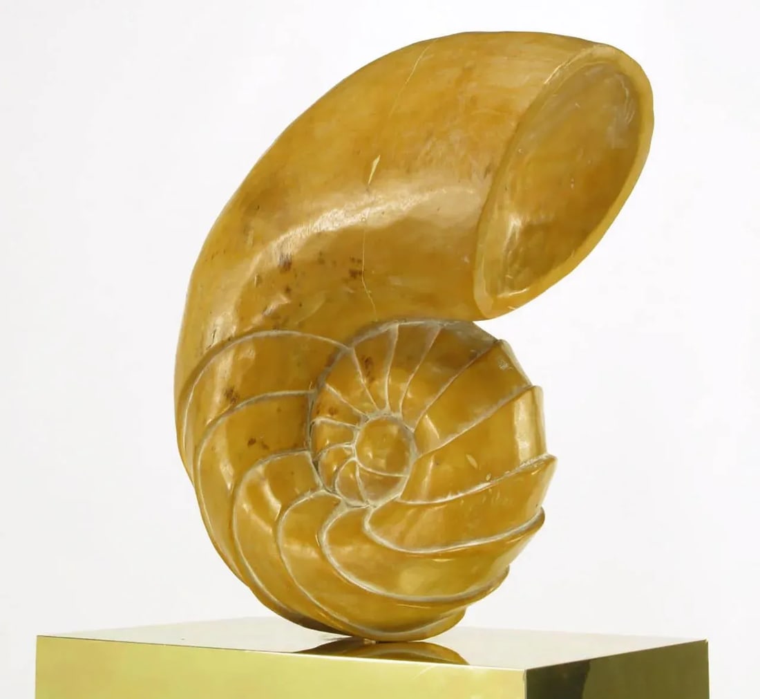 Carved Wood Ammonite Shell Sculpture on Brass Pedestal - 7