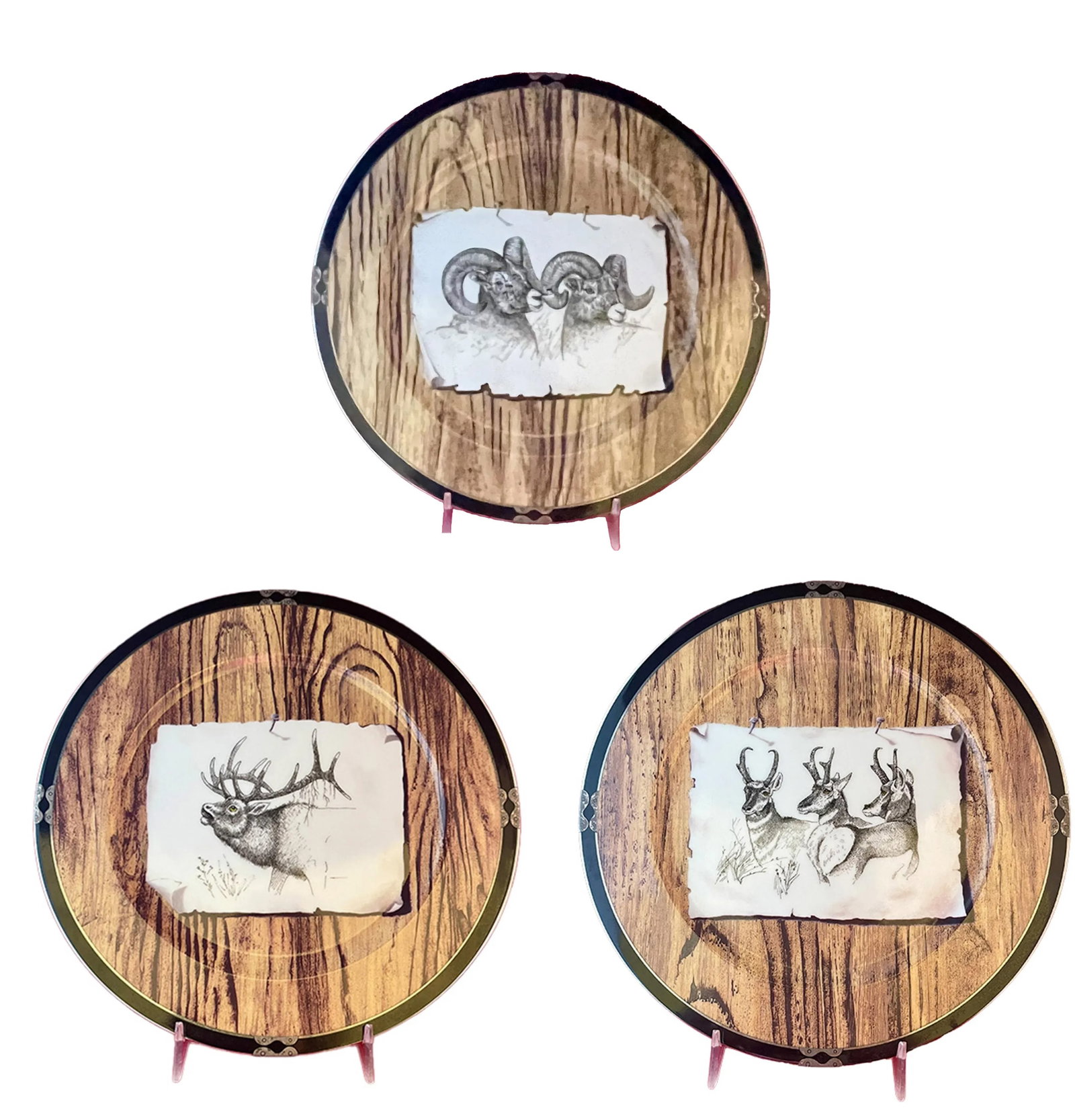 1990s Lynn Chase American Pages Porcelain Plates- Set of 5 - 5
