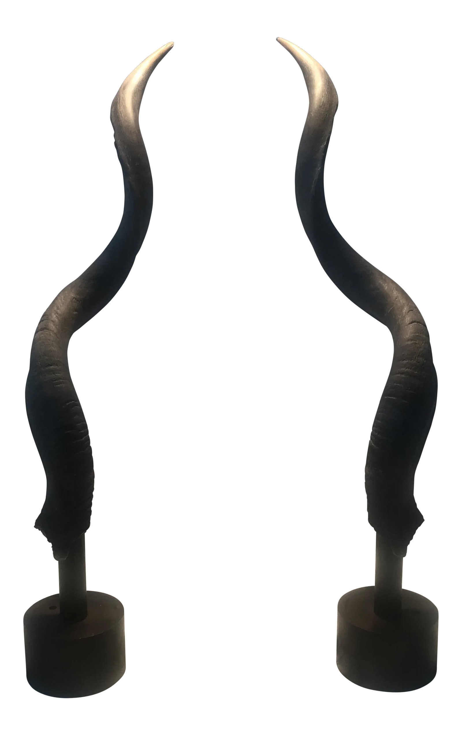 Vintage African Kudu Horn Sculpture on Steel Stand - a Pair: Pair (2) Exotic African Lesser Kudu horn sculptures resting on steel cylinder stands. Stunning from all angles, beautiful, decorative- sculptural pieces. Origin: Africa Period: 1980 - 1989 Condition: