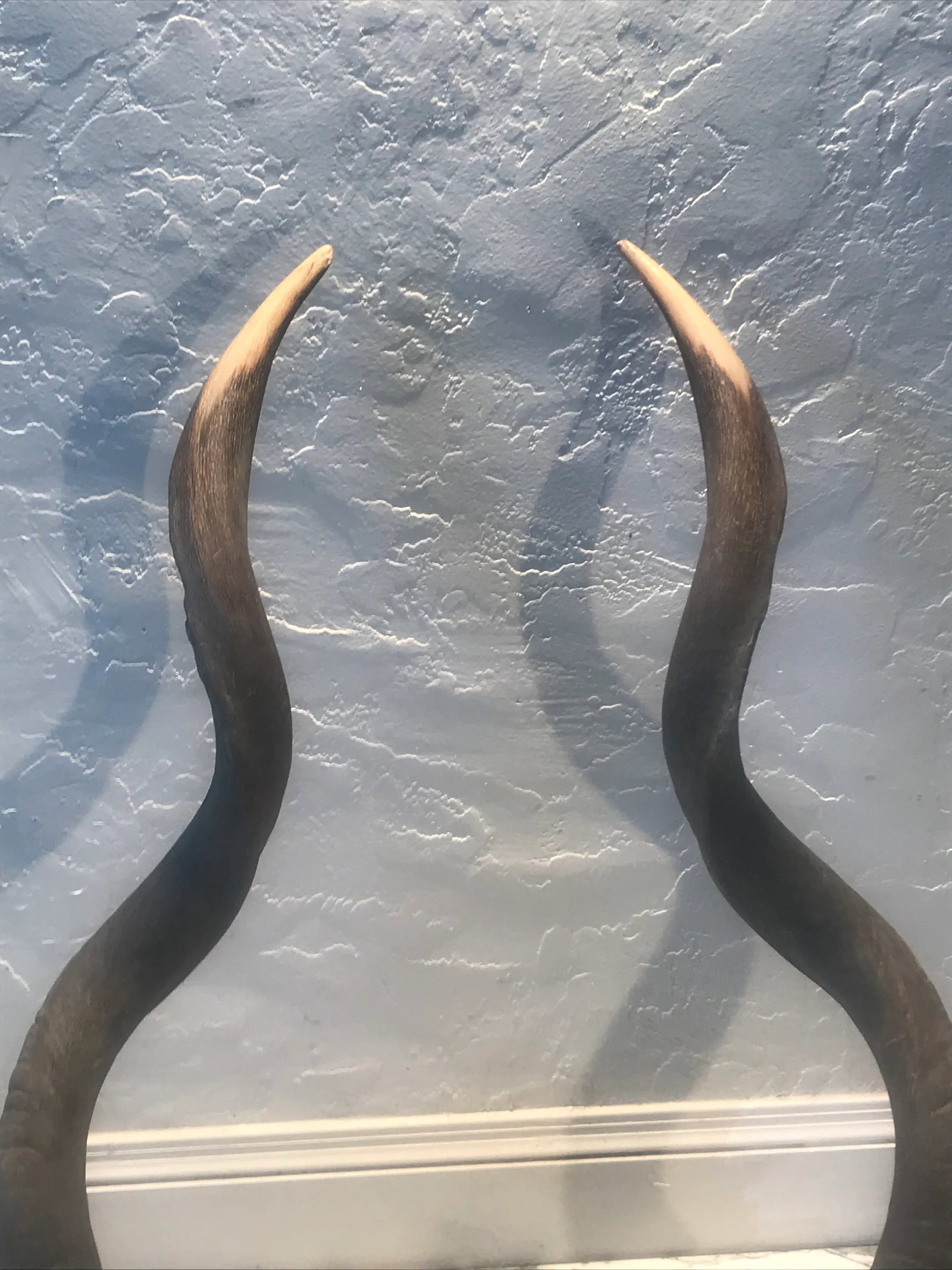 Vintage African Kudu Horn Sculpture on Steel Stand - a Pair - 3