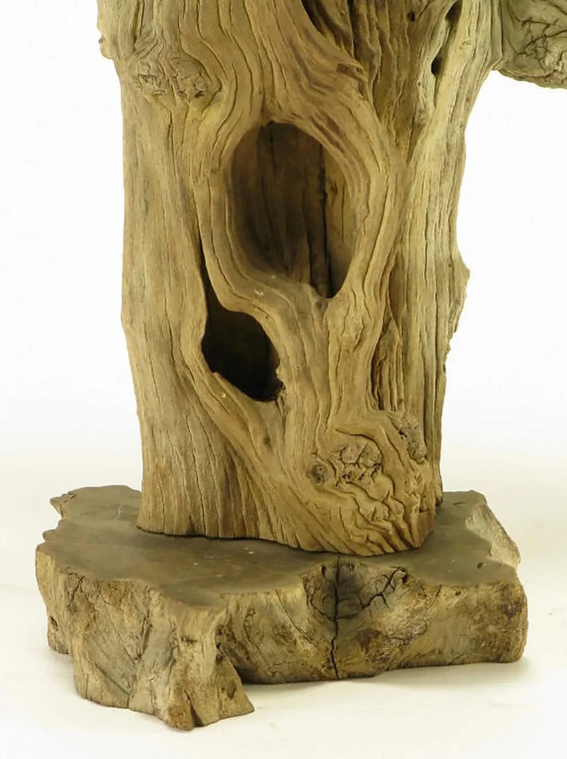 Driftwood Table Lamp With Live Edge Wood Base - 6